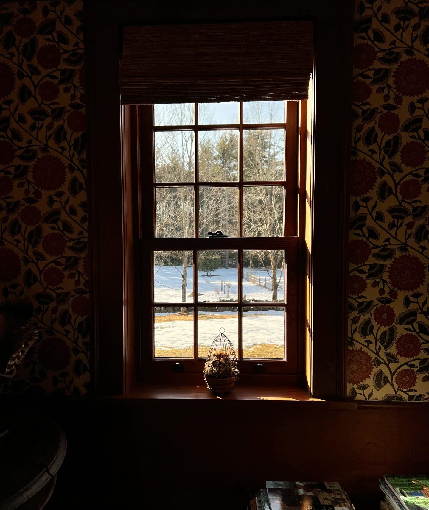 A window to our world&hellip;

Spring is in the air, and the snow is slowly melting. Our daughter&rsquo;s June wedding feels much closer today (102 days.) Daylight savings starts on March 10, and the first day of Spring is March 19th. Snowdrops are p