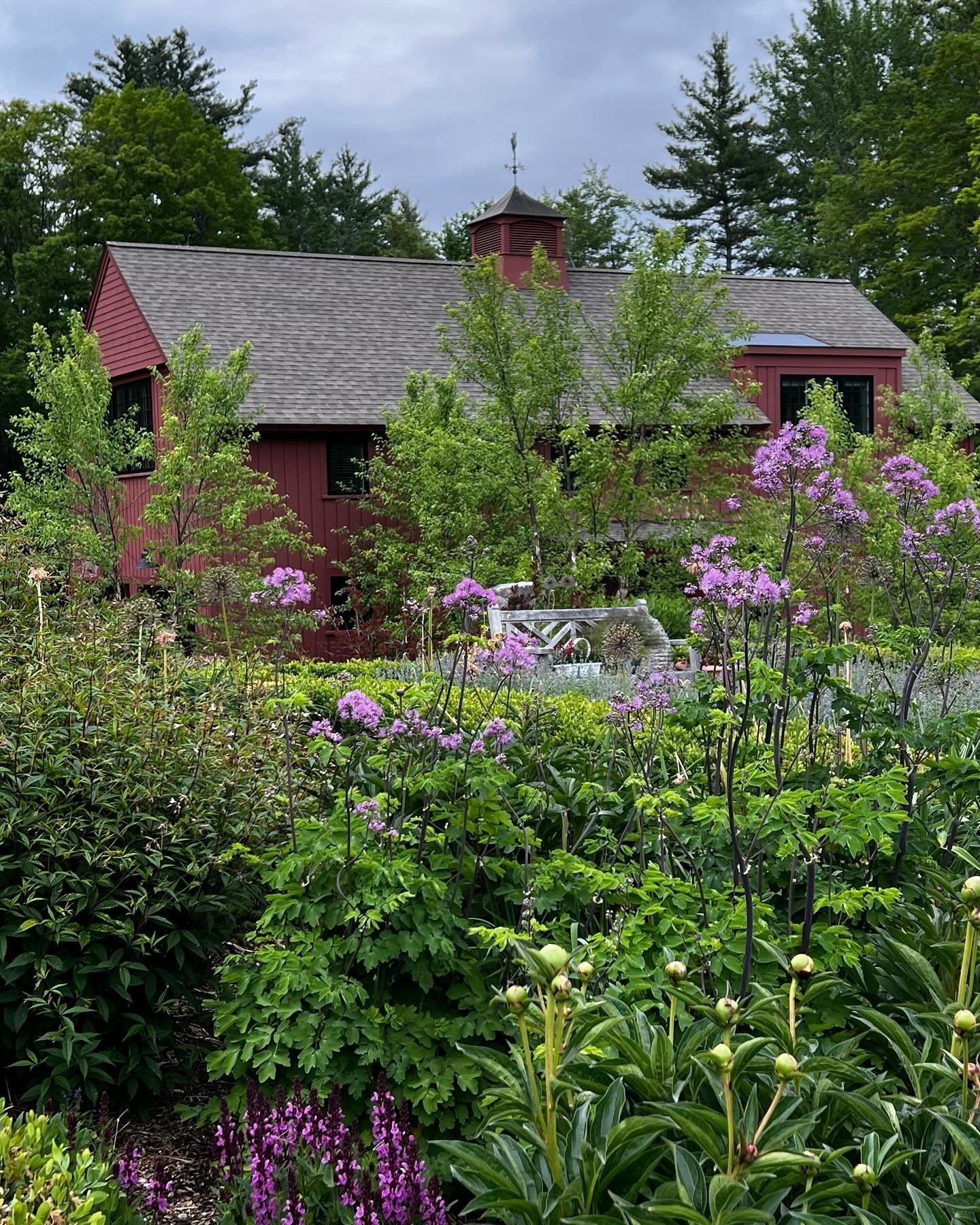 While our blanket of snow melts, which it well and truly is, I am obsessing over our garden photos from past years, imagining what our daughter&rsquo;s wedding day will look like on June 8th. All hands are ready to dig and tuck into the gardens in an