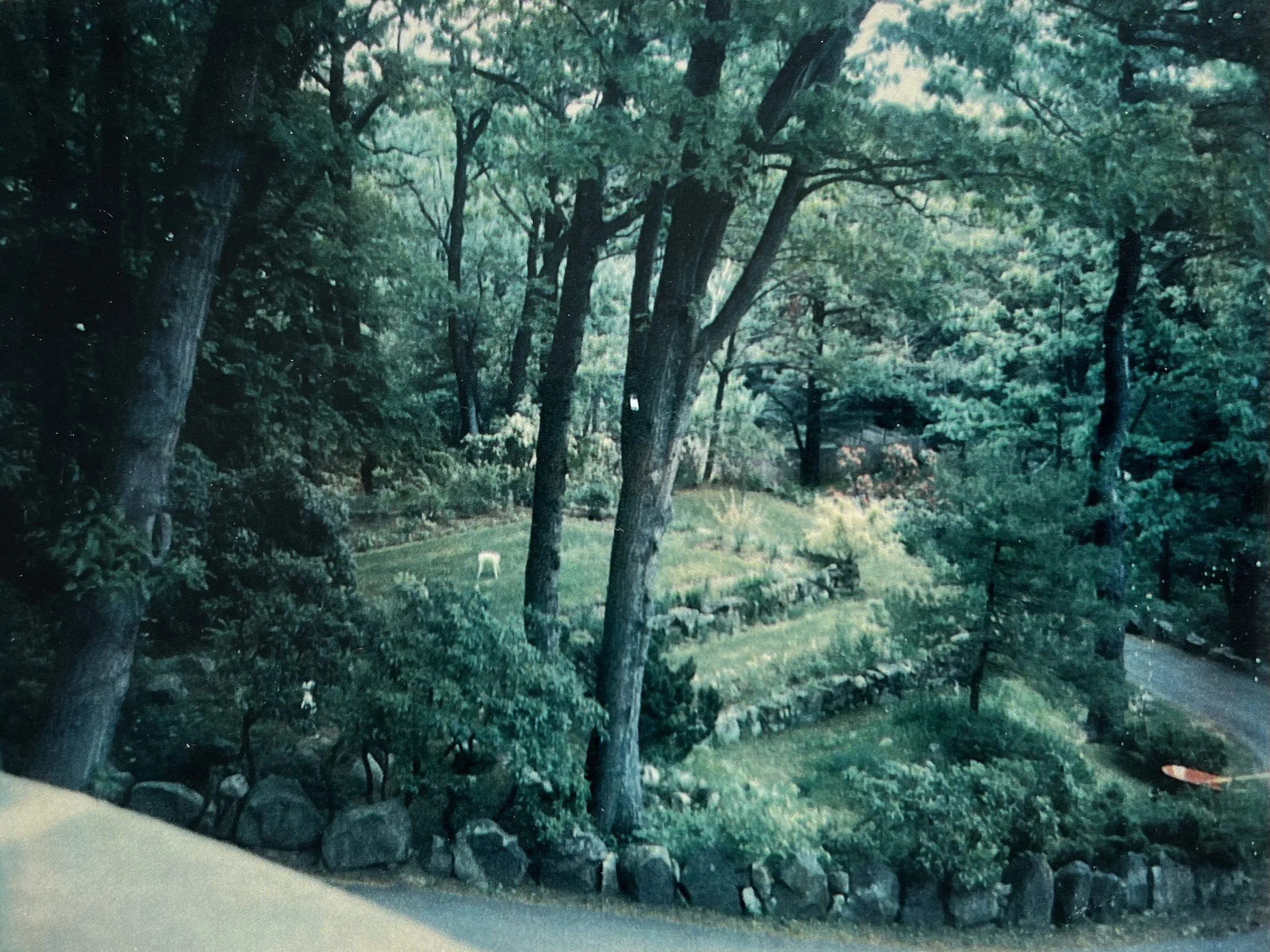The secret garden, revealed