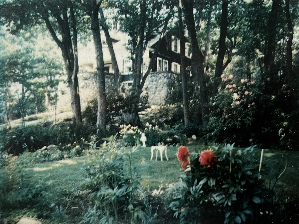 View to our home,  Windswept