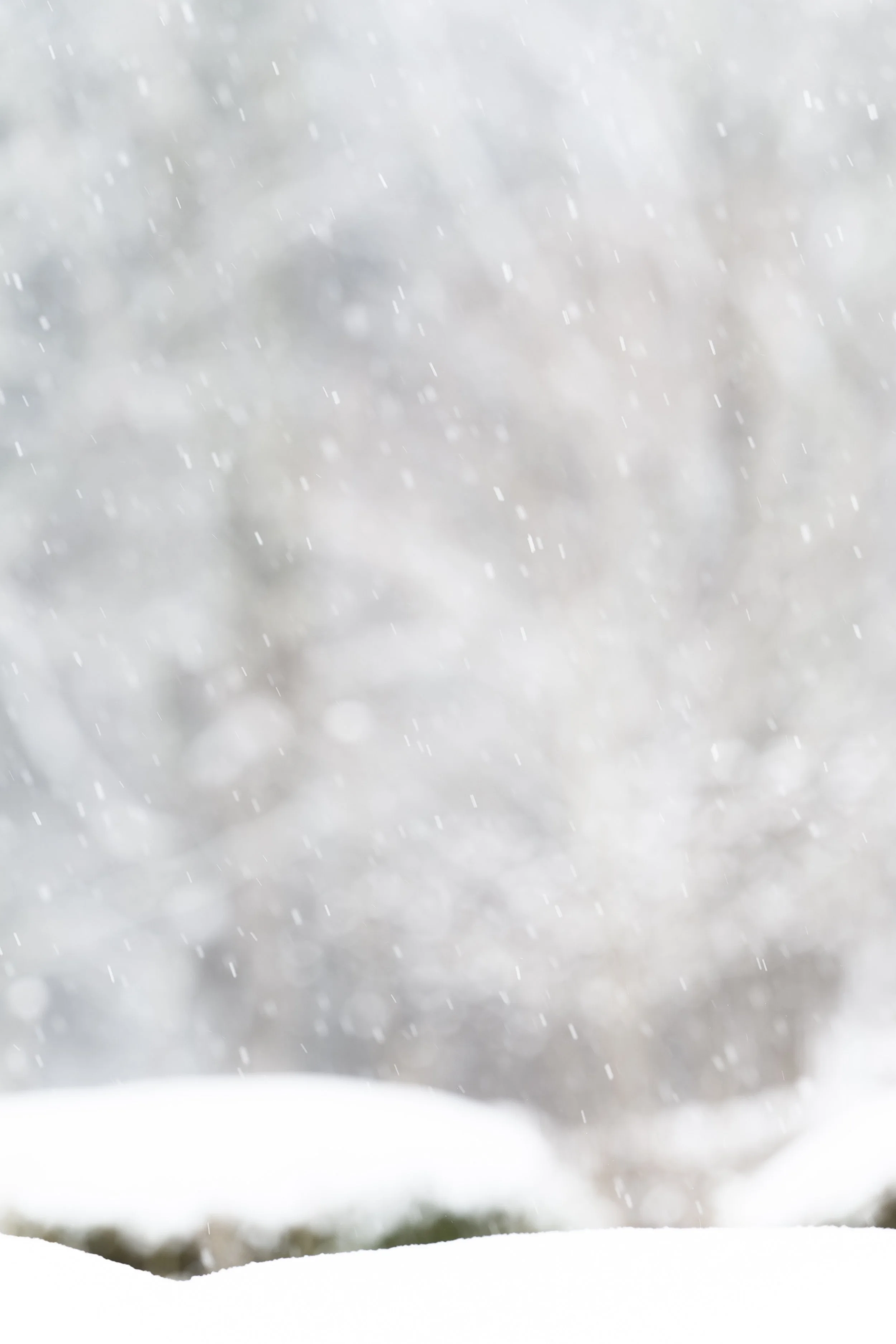 Where We Go to Think