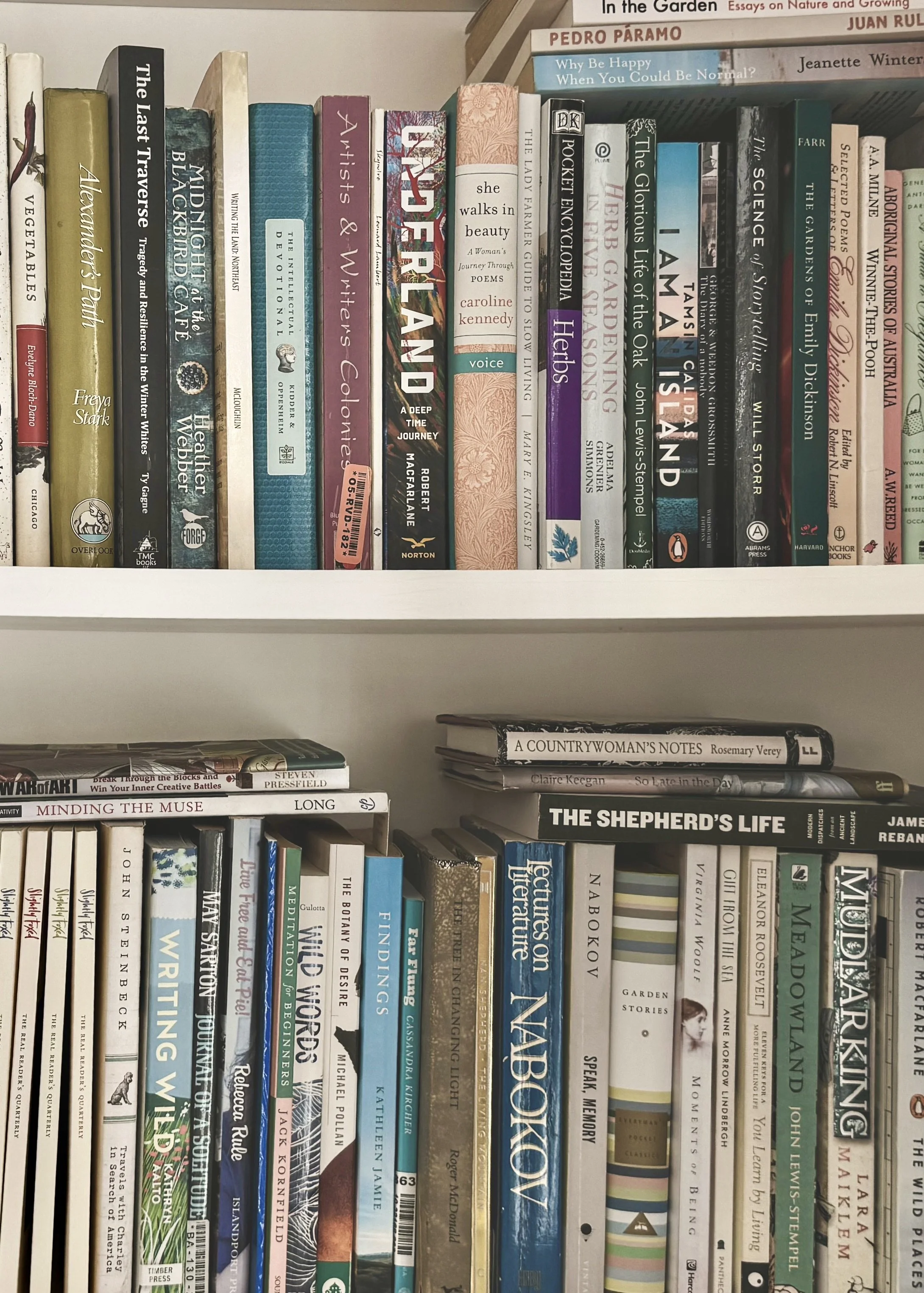 The Year I Lost my Books