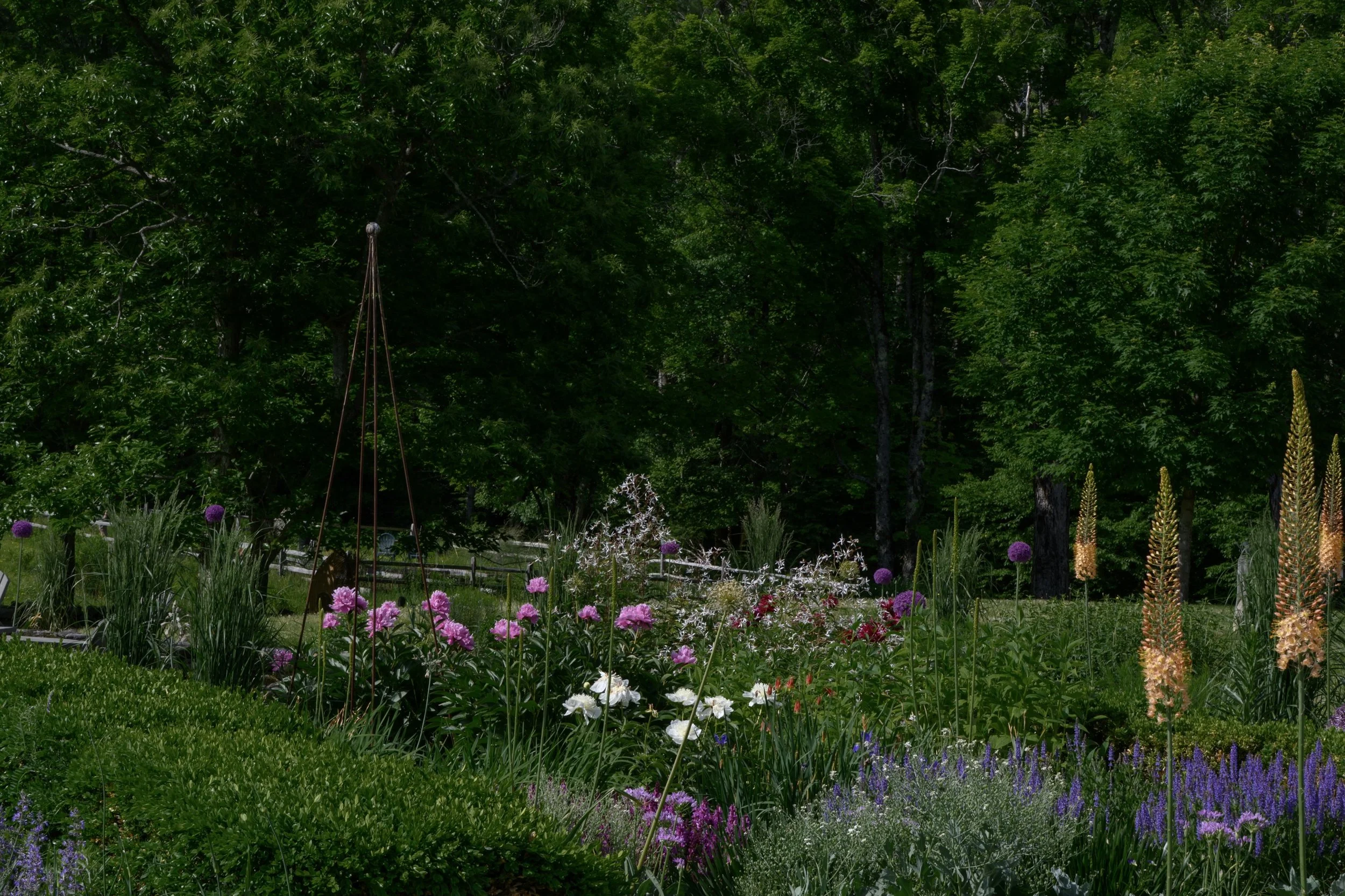jeannehenriques 2026 garden-5661.jpg