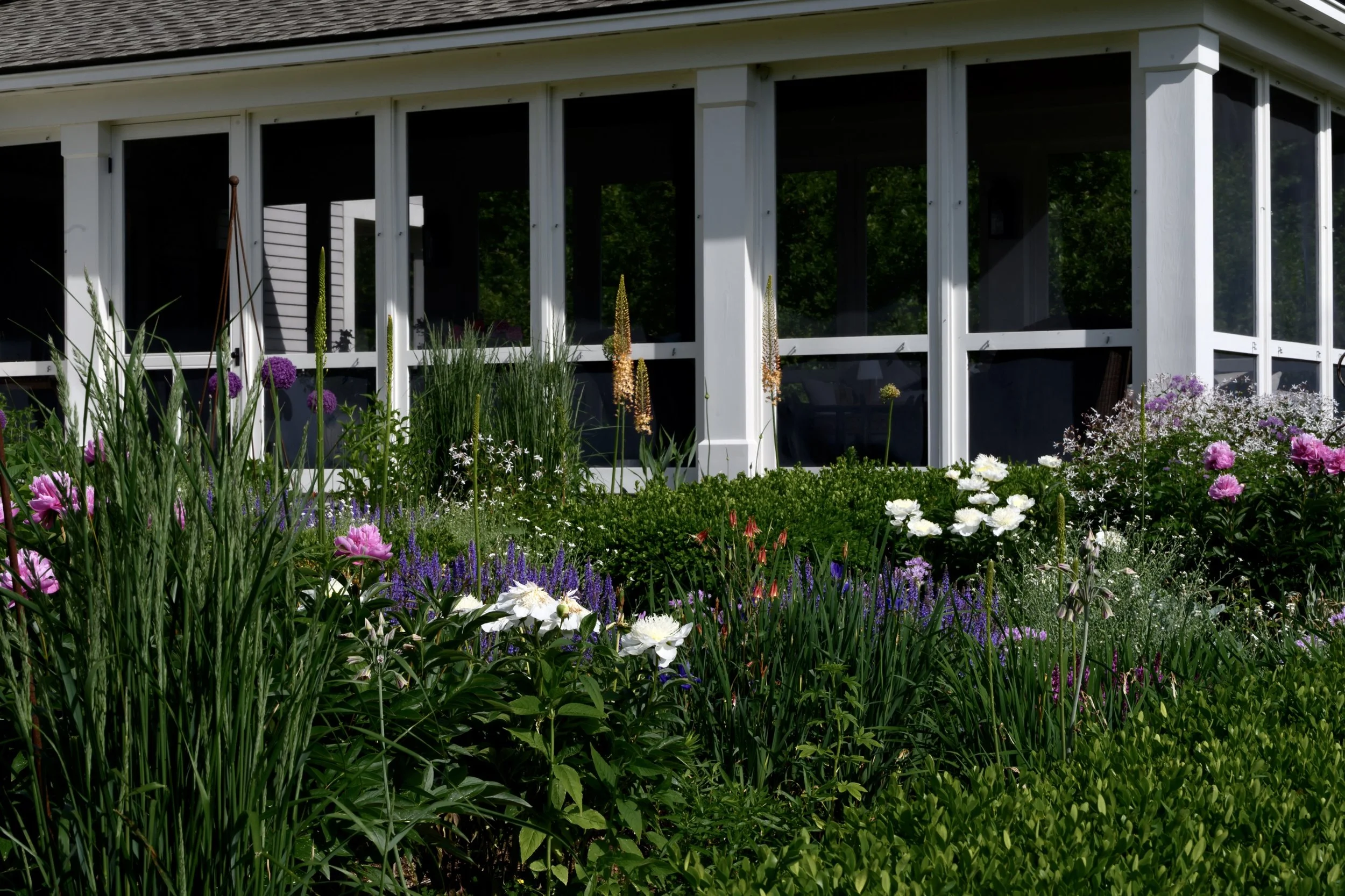 jeannehenriques 2026 garden-5642.jpg
