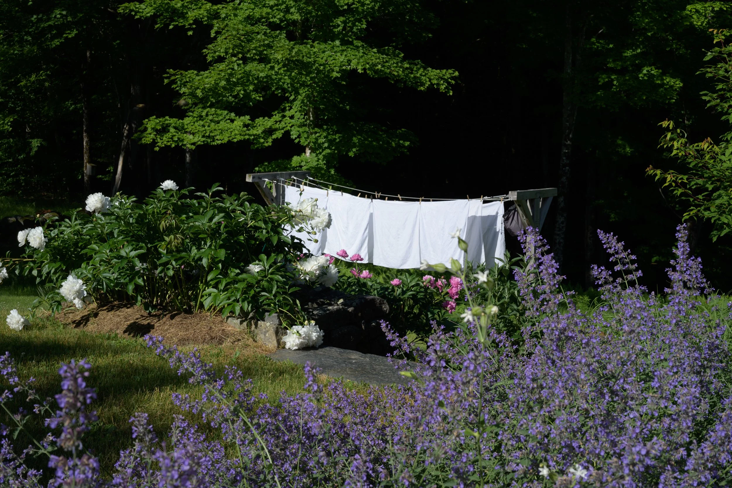 jeannehenriques -5627.jpg