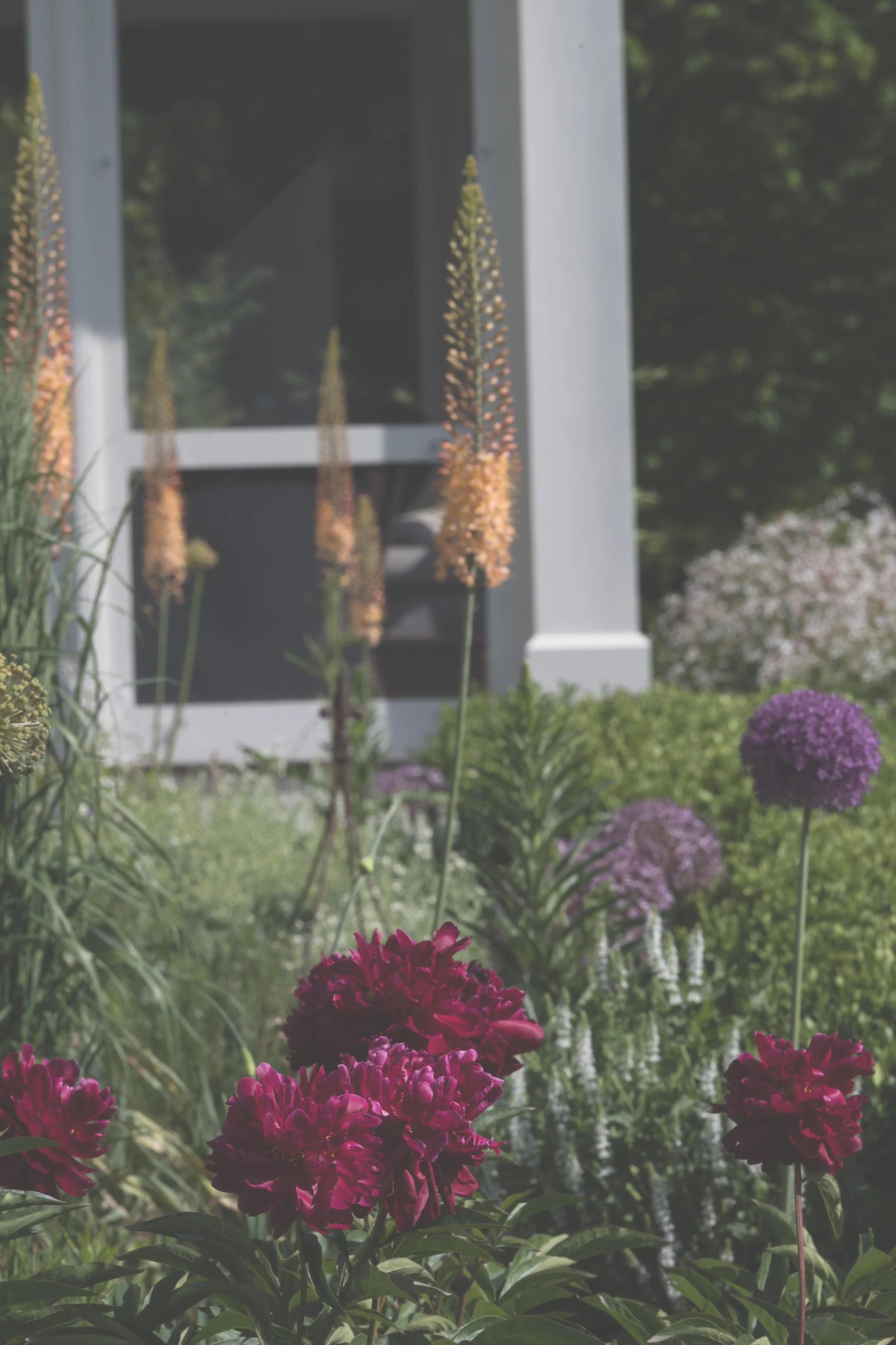 The Garden Remembers 