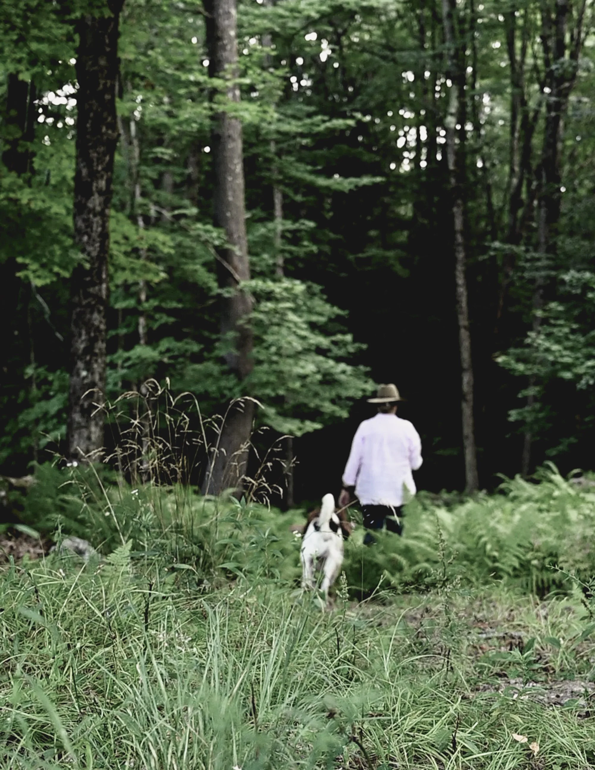 Jeanne-Henriques-Tahilla-Farm haze-1.jpg