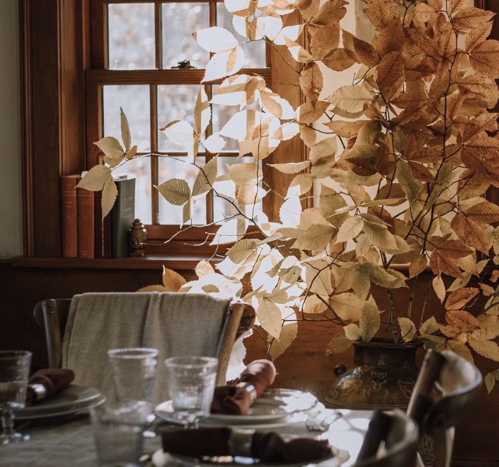 Tahilla Gatherings.jpeg