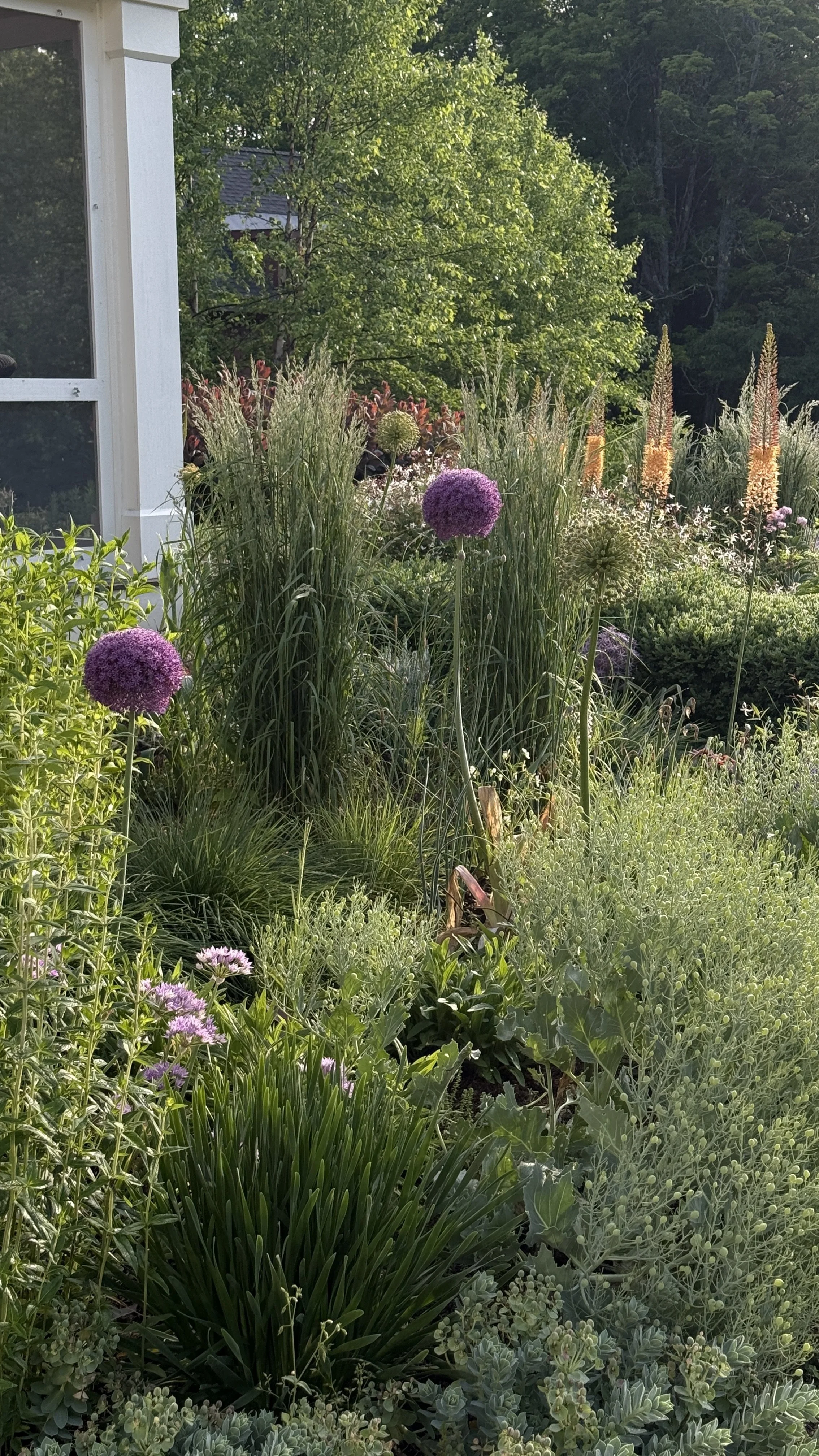 IMG_3121.jpeg