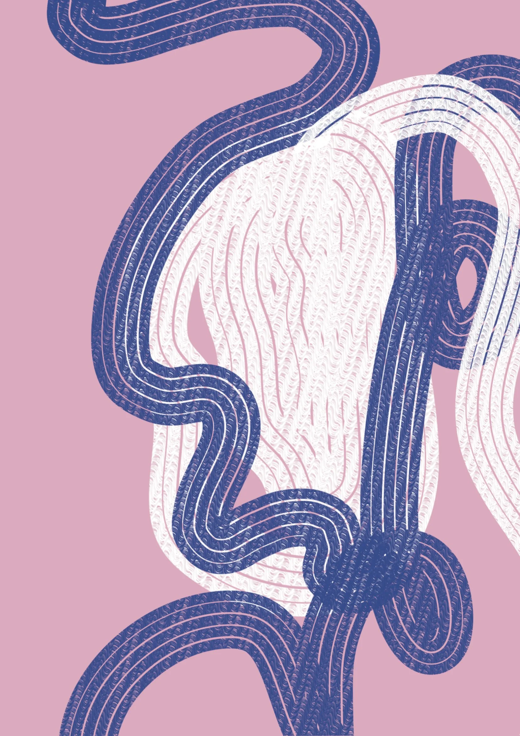 Image - Copy (7).jpeg