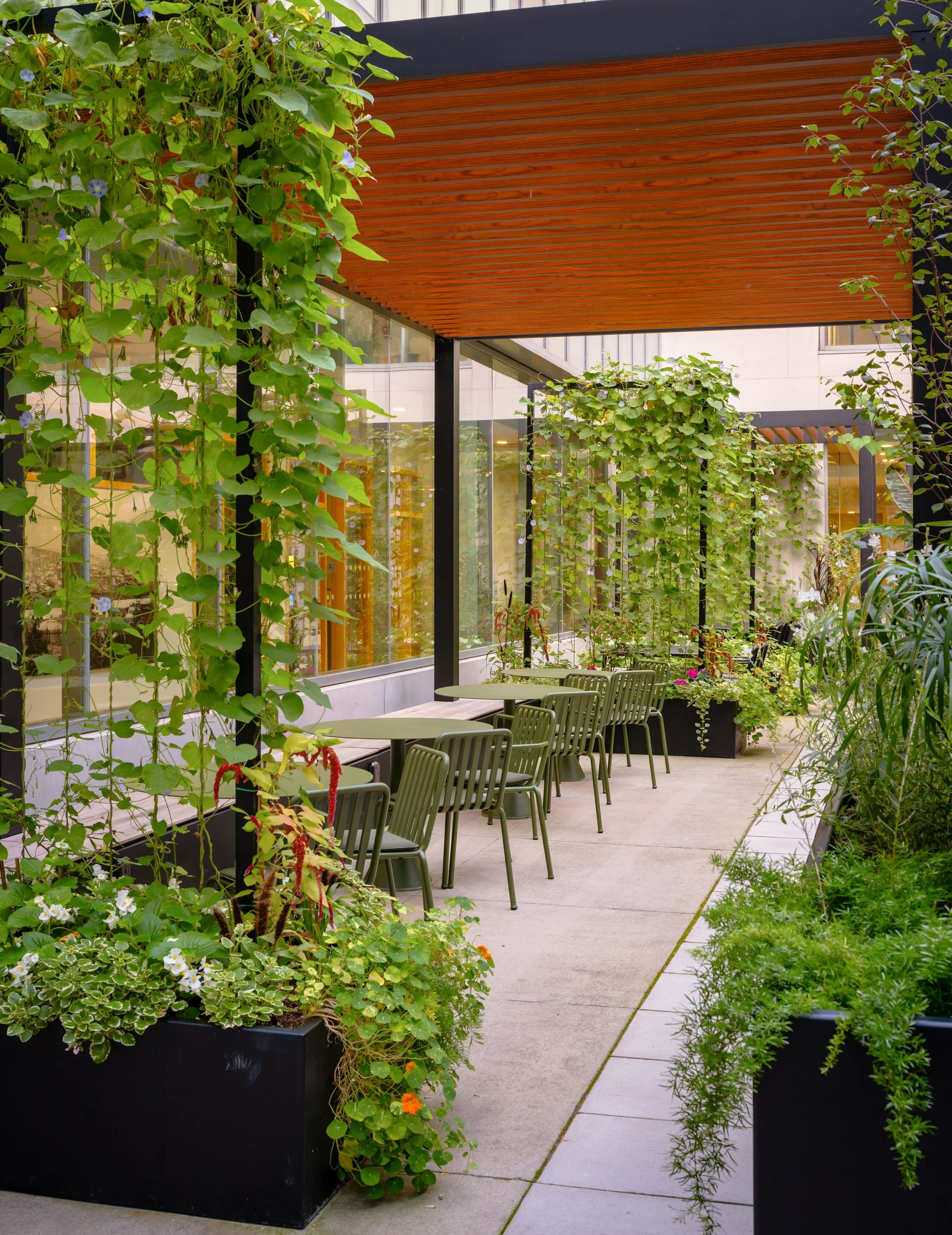 pergola-aluminum-struxure-gta-shade-structure.jpg