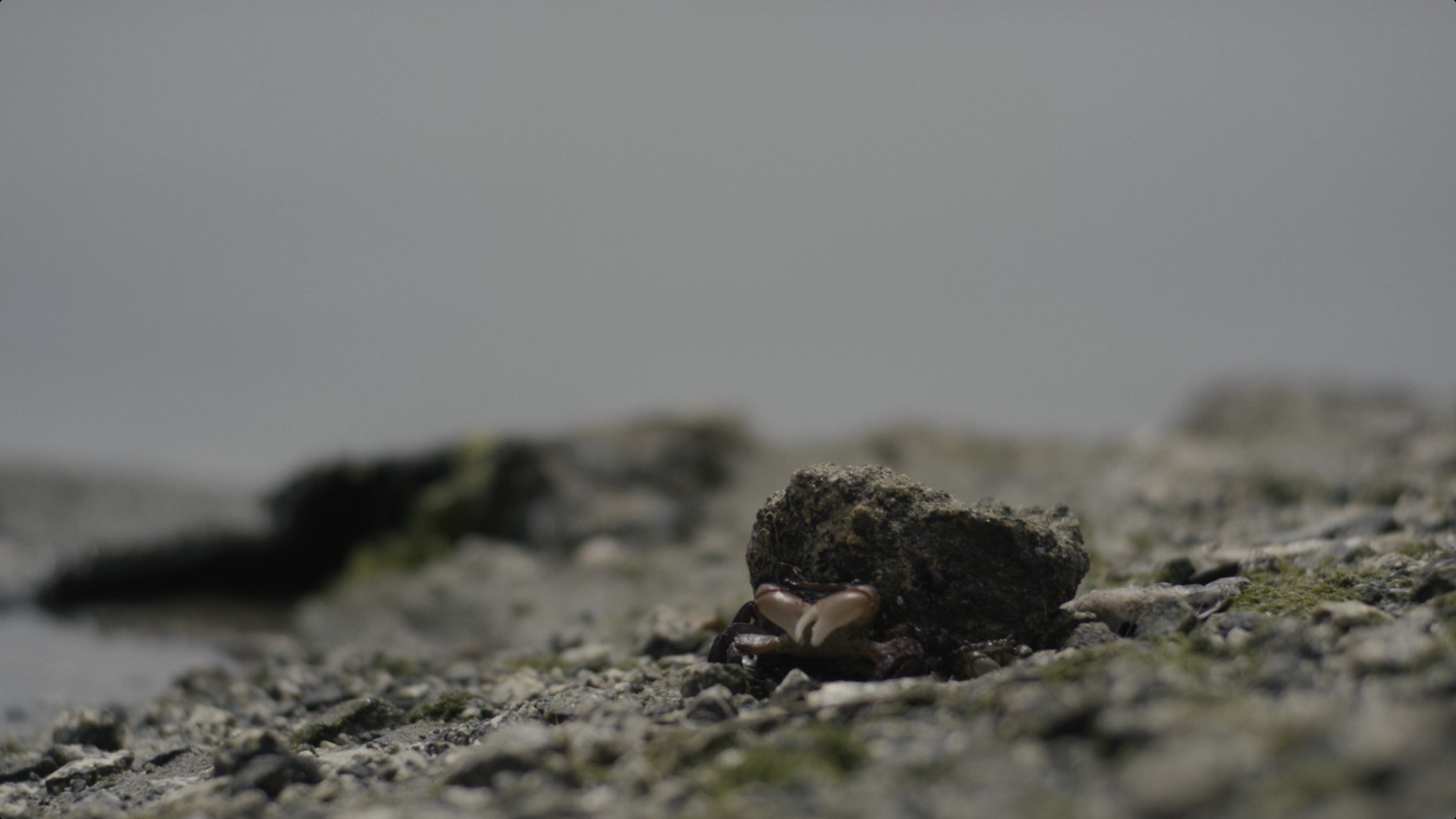 Screenshot 2025-12-12 at 6.43.45 PM.png