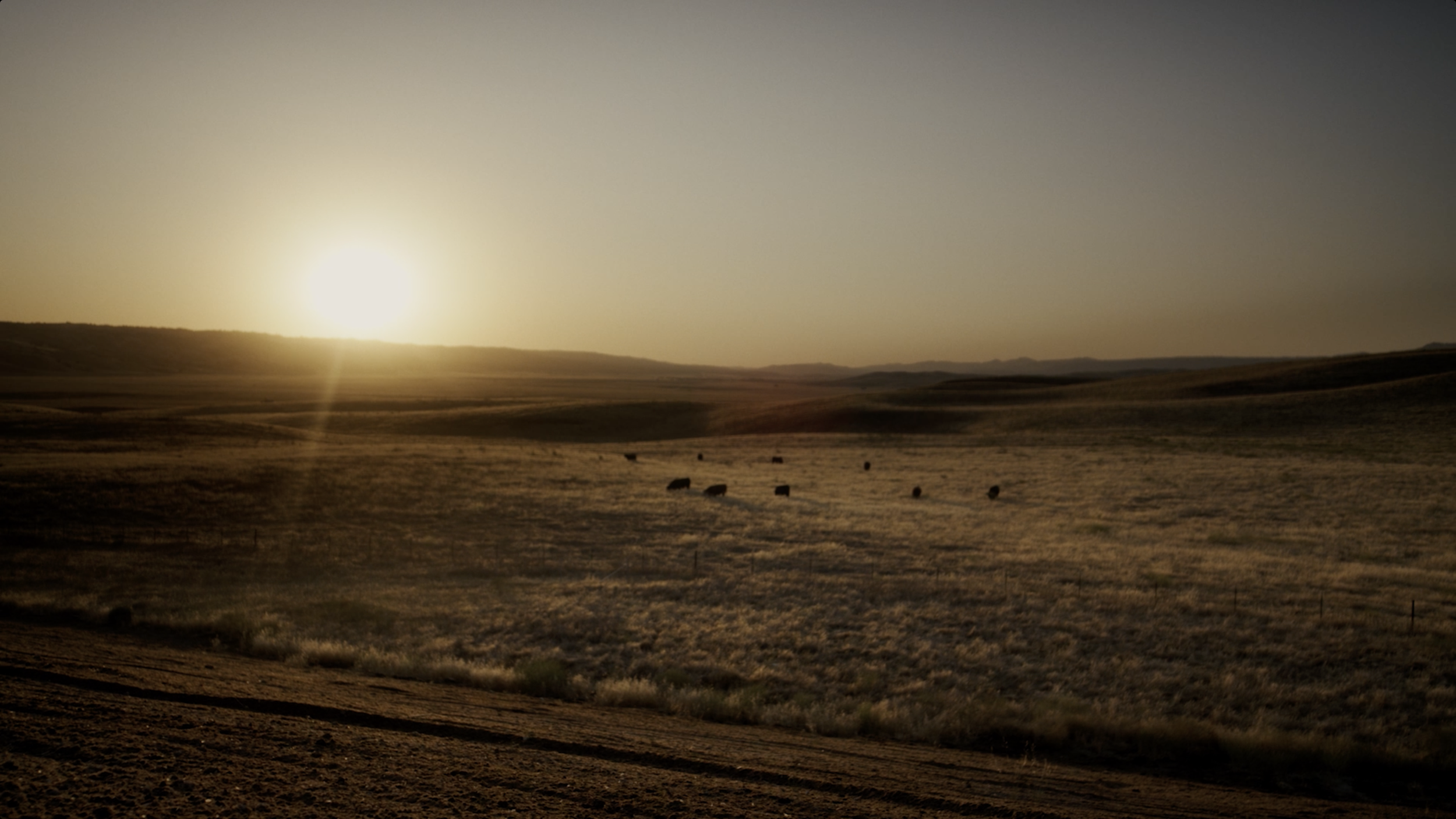 Screenshot 2025-12-12 at 6.42.32 PM.png