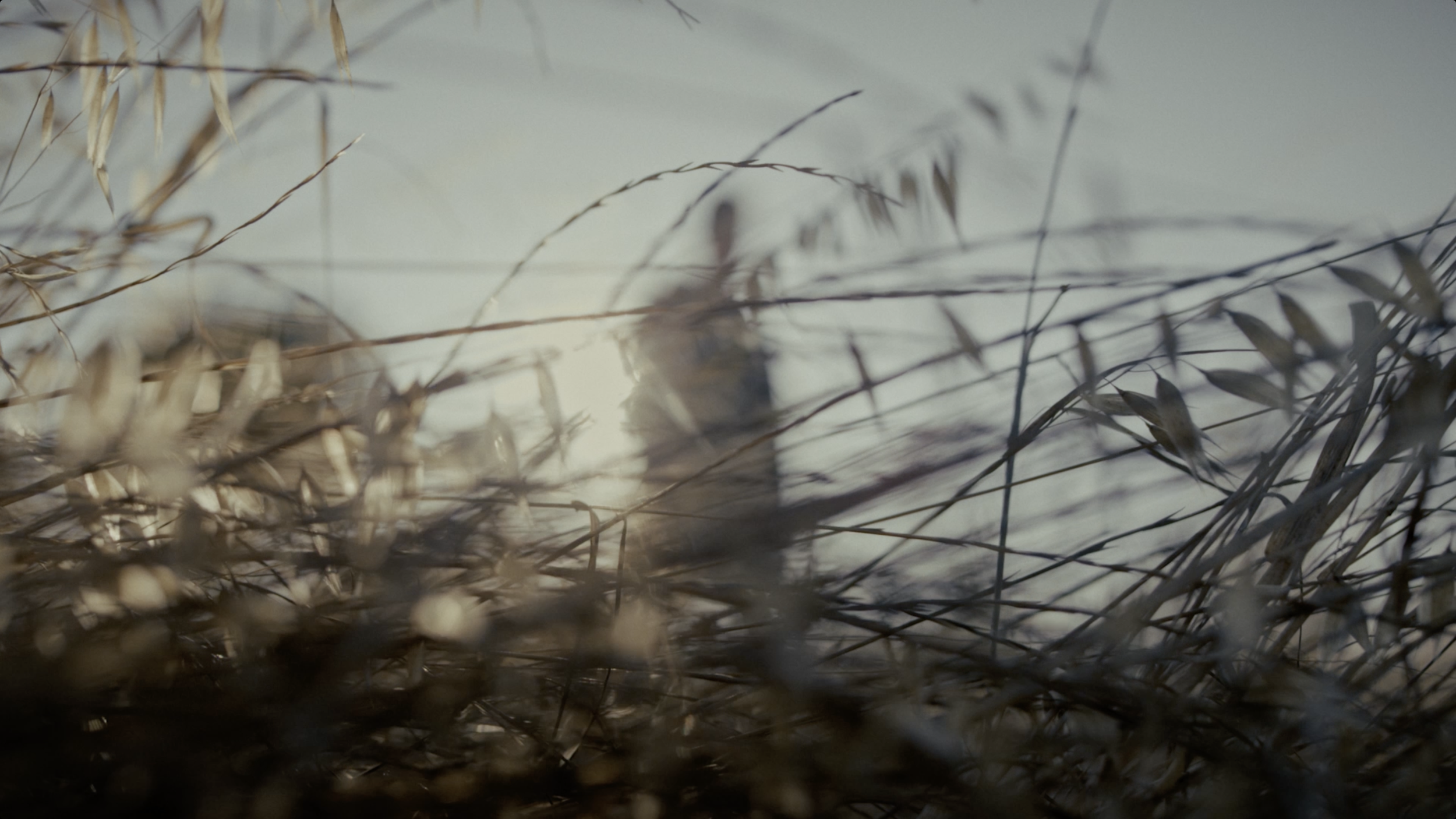 Screenshot 2025-12-12 at 6.33.37 PM.png