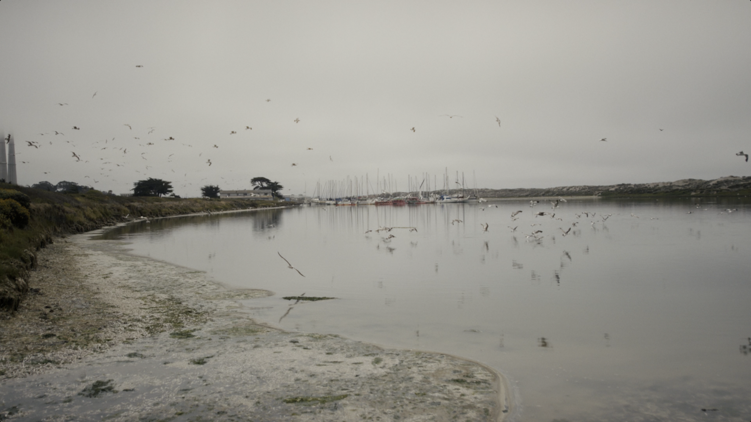 Screenshot 2025-12-12 at 6.43.30 PM.png