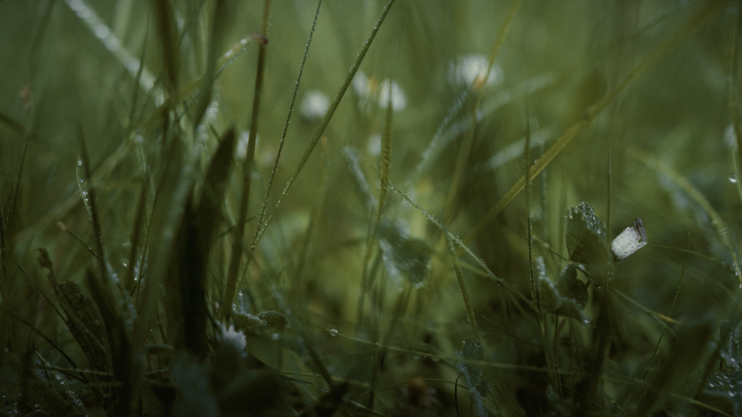 Screenshot 2025-12-12 at 6.39.39 PM.png