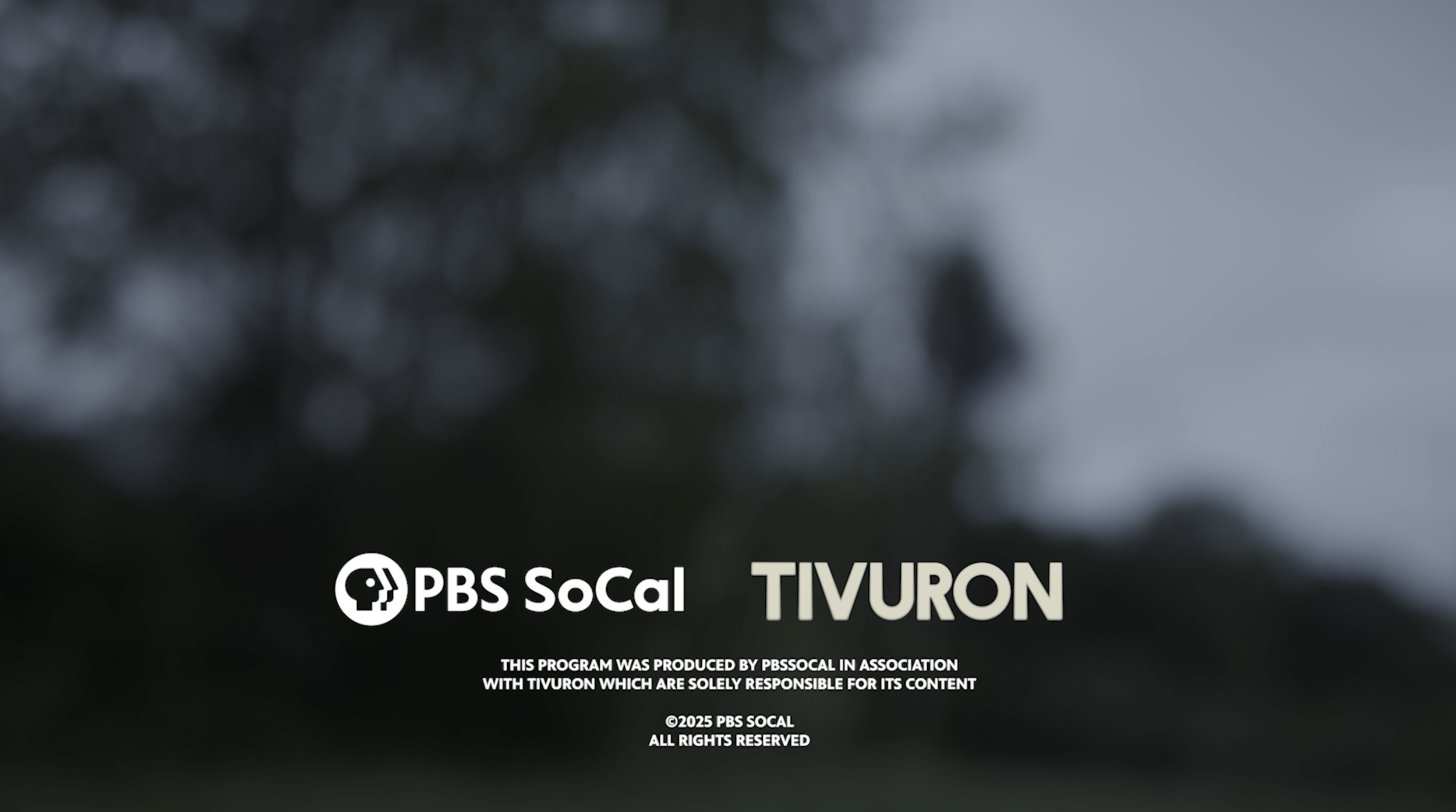 Screenshot 2025-12-12 at 6.40.05 PM.png