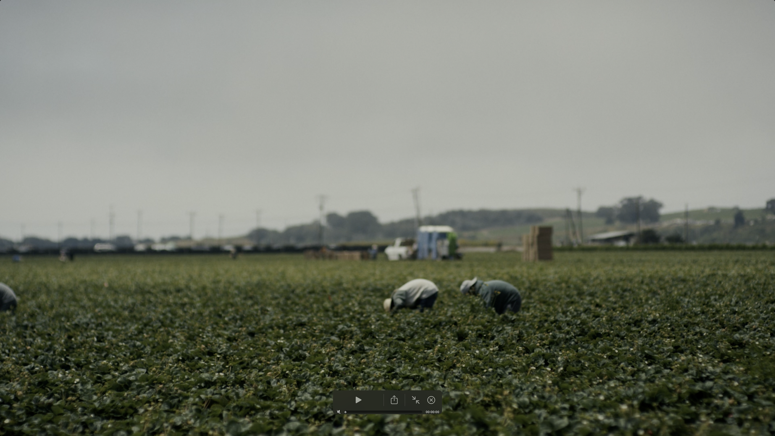 Screenshot 2025-12-12 at 6.42.23 PM.png