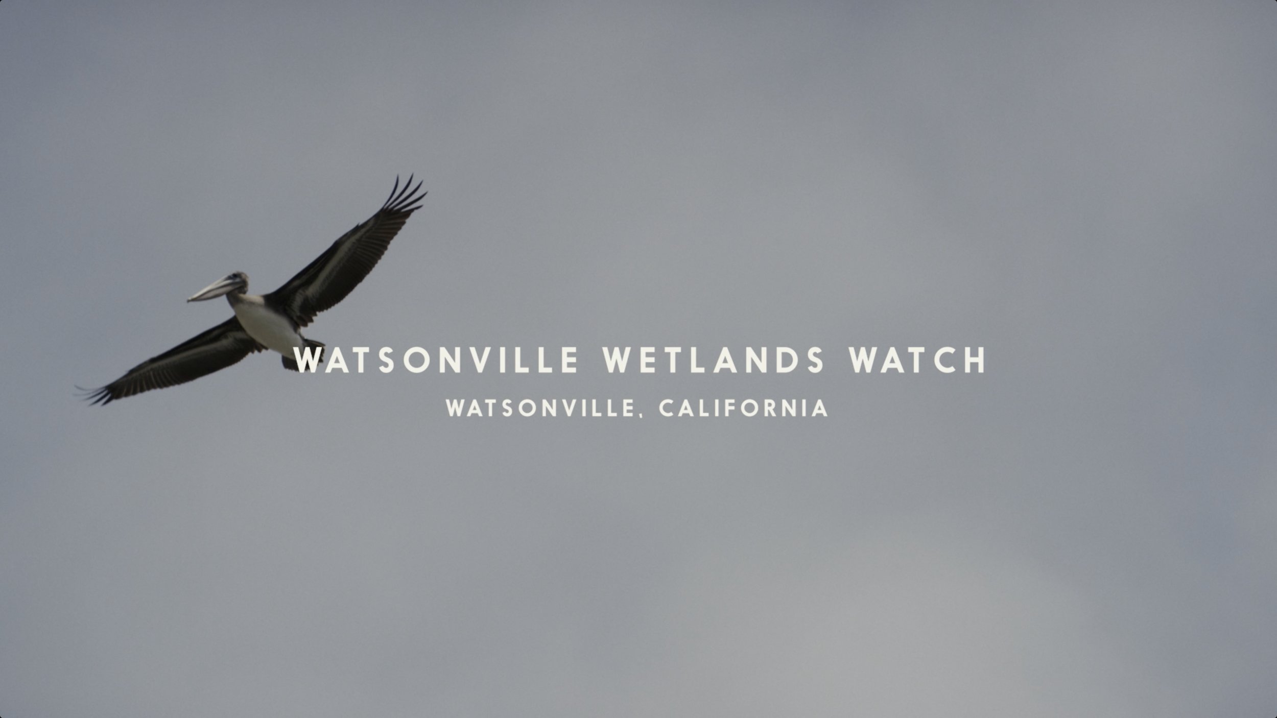 Screenshot 2025-12-12 at 6.41.51 PM.png