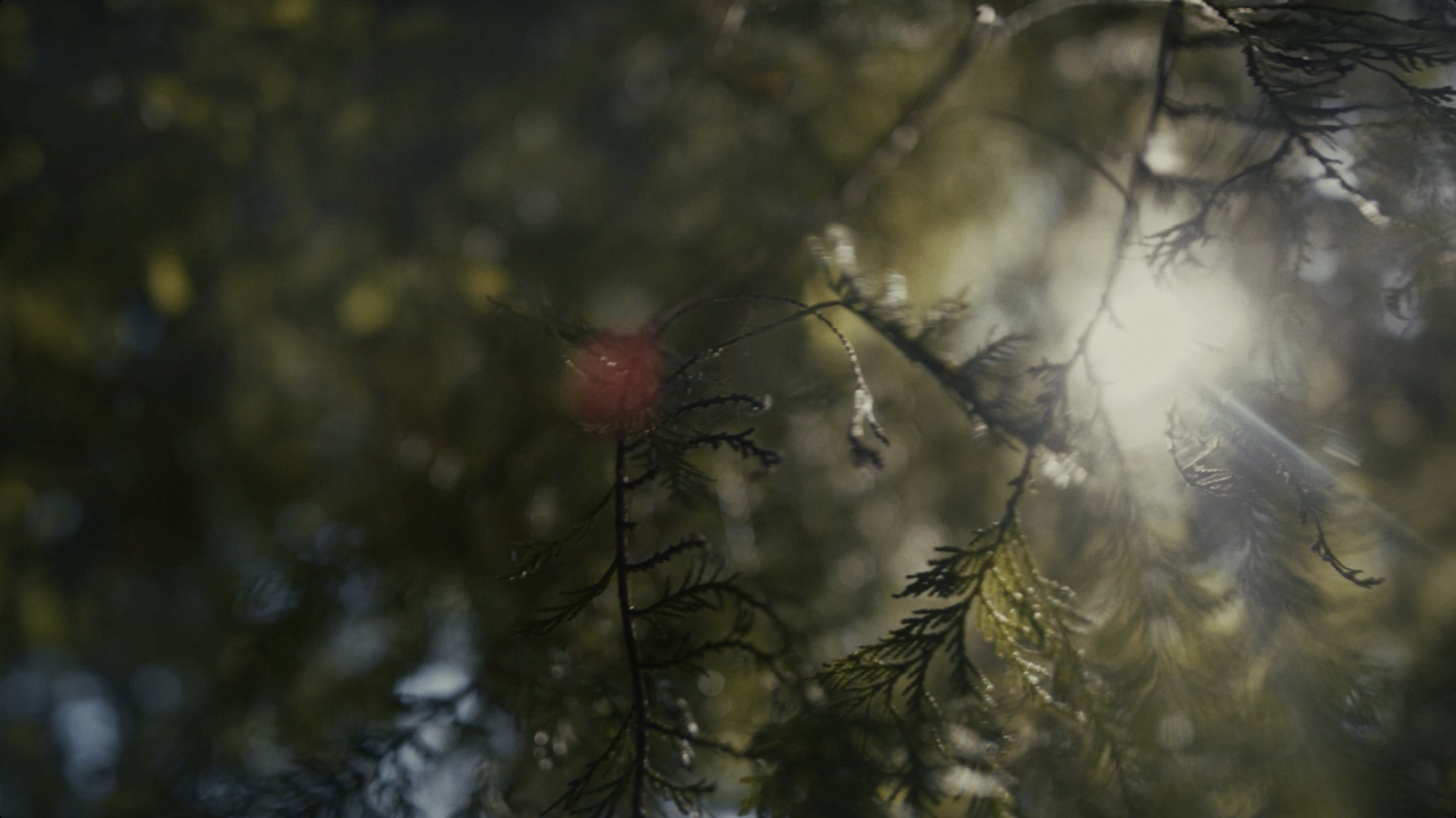 Screenshot 2025-12-12 at 6.40.25 PM.png