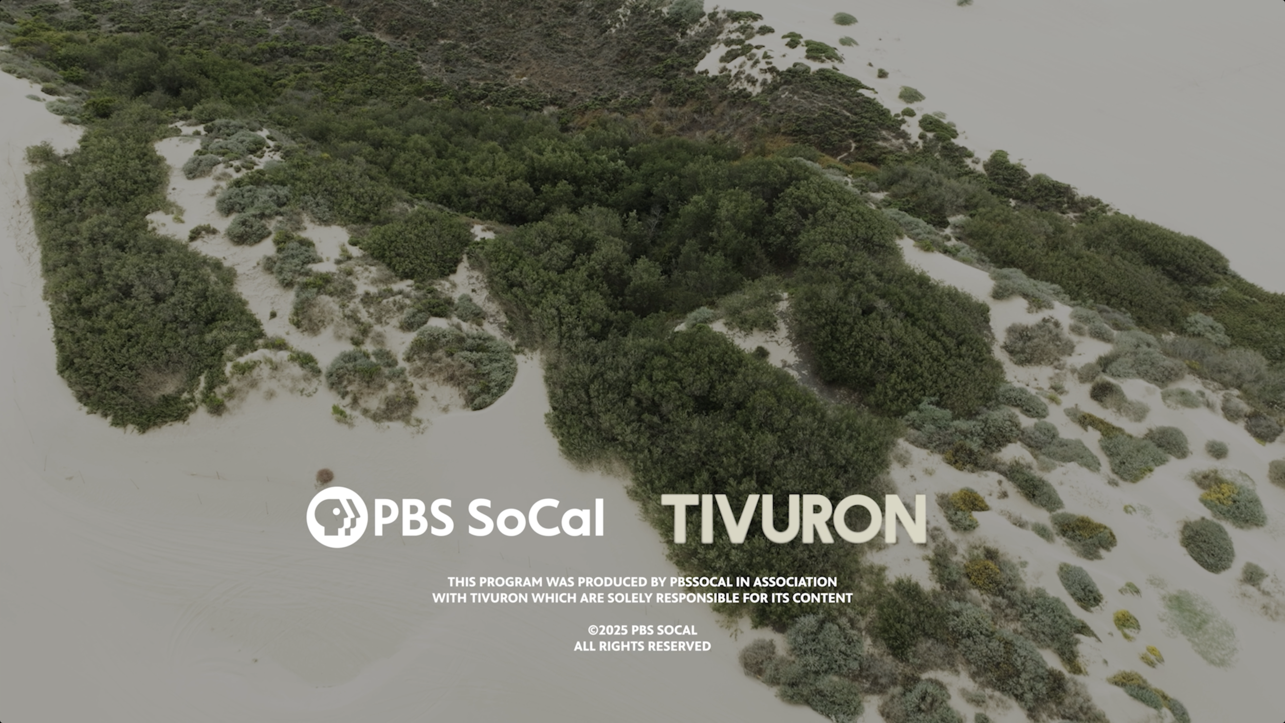 Screenshot 2025-12-12 at 6.33.07 PM.png