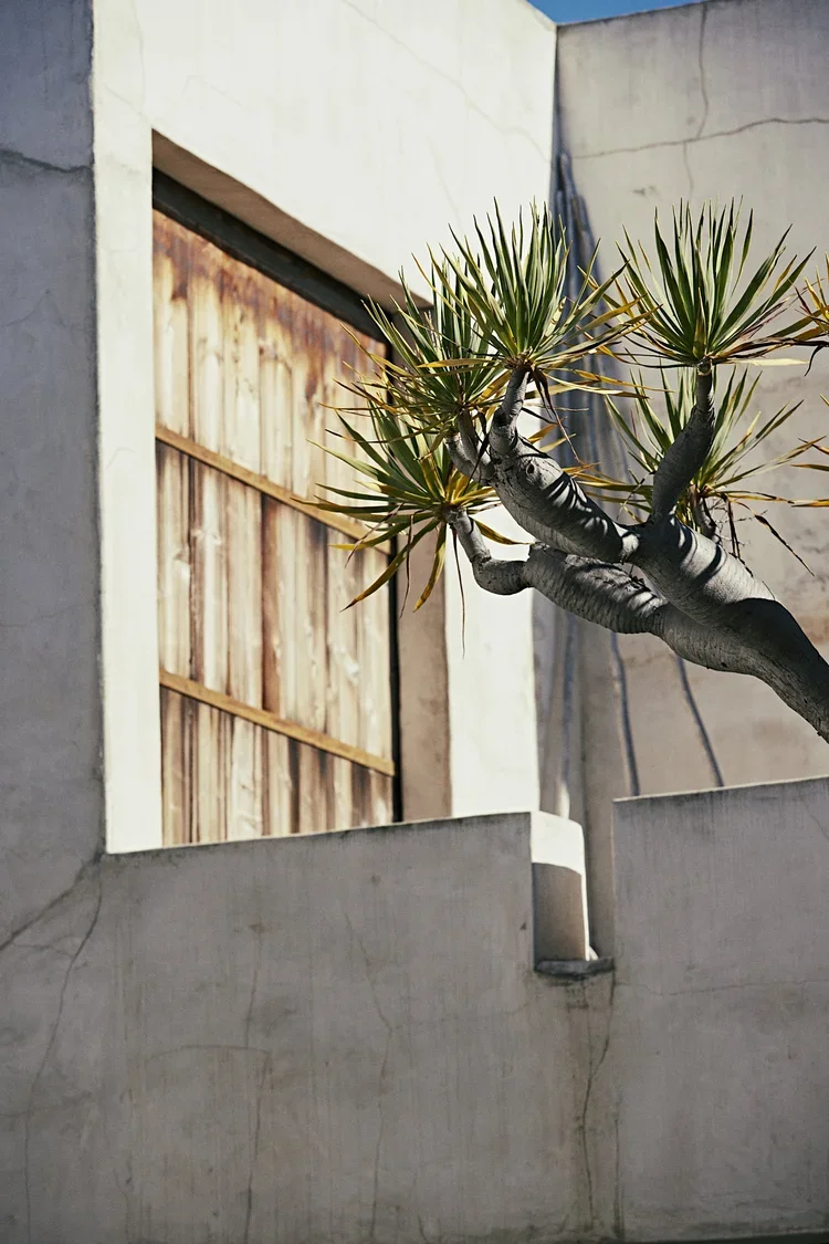 EVE_MAY_23__ENVIRONMENTALS_0012.webp