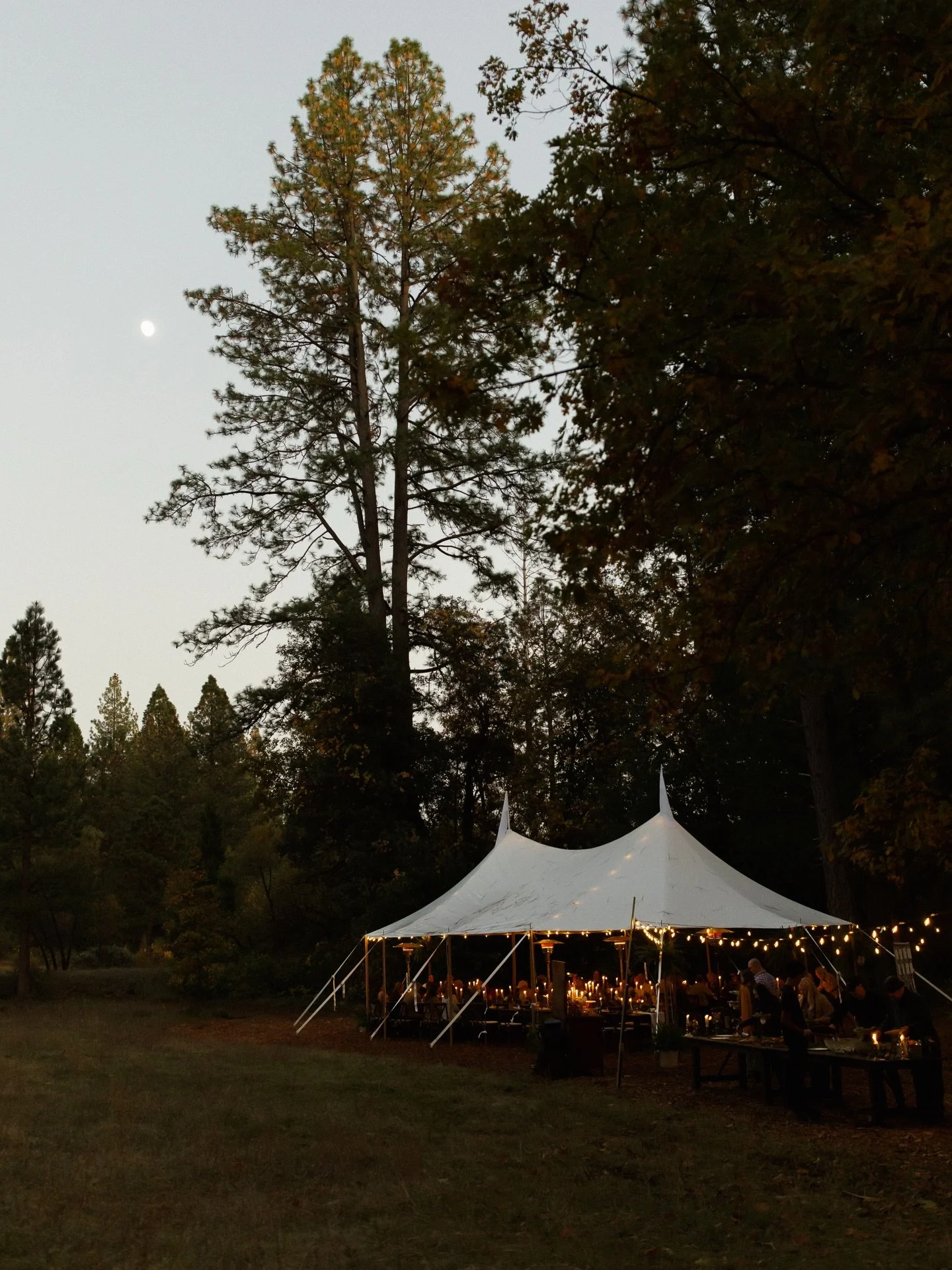 Married in the meadow of the beautiful place they get to call home 🥹🌲

#fallweddings #weddingphotographer #documentaryweddingphotographer #californiaweddingphotographer #tahoeweddingphotographer
