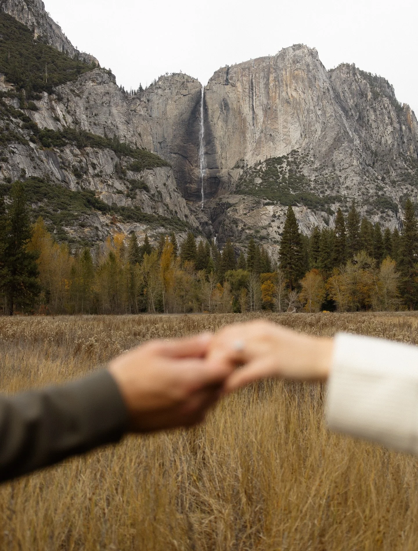 Nothing beats Yosemite in the fall 😍🍂

#yosemite #yosemitenationalpark #yosemiteweddingphotographer #yosemiteelopement #engagementphotos