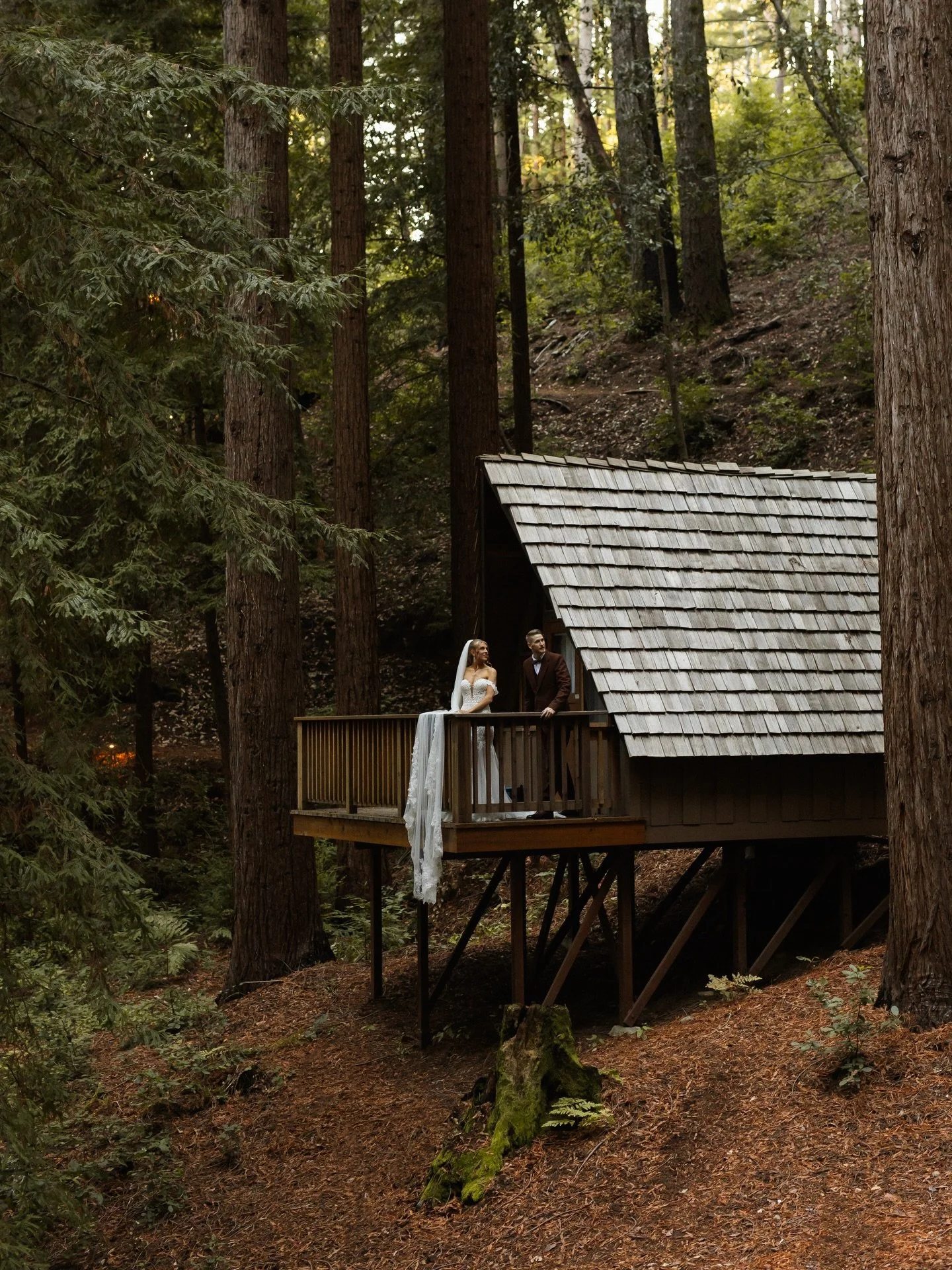 A wedding under the Santa Cruz redwoods, full of so much love and amazing memories 🌲

#weddingphotographer #californiaweddingphotographer #santacruzwedding #bayareaweddingphotographer #sacramentoweddingphotographer