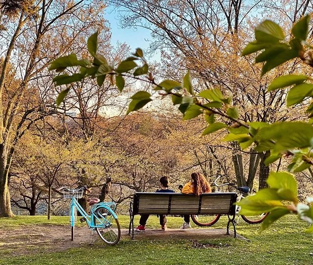 Happy long weekend!
I really enjoy taking long walks and being able to explore and observe what happens around me. I run into this scene and couldn&rsquo;t help myself but to start taking photos of the nature and of the people in the park.
.
.
.
.
.
