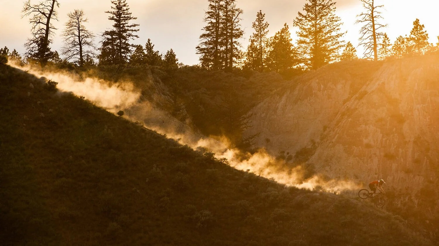  Motivo [Mo·ti·vo]: (Origin) Motive — that which excites to action; determines choice 