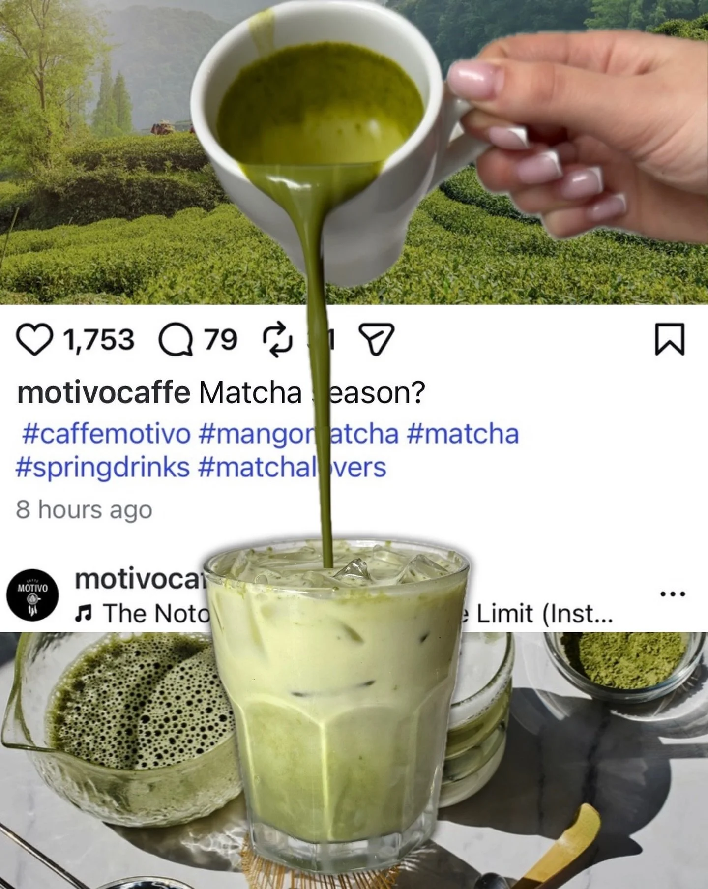 it&rsquo;s matcha season 💚

#mangomatcha #matcha #caffemotivo #springdrinks