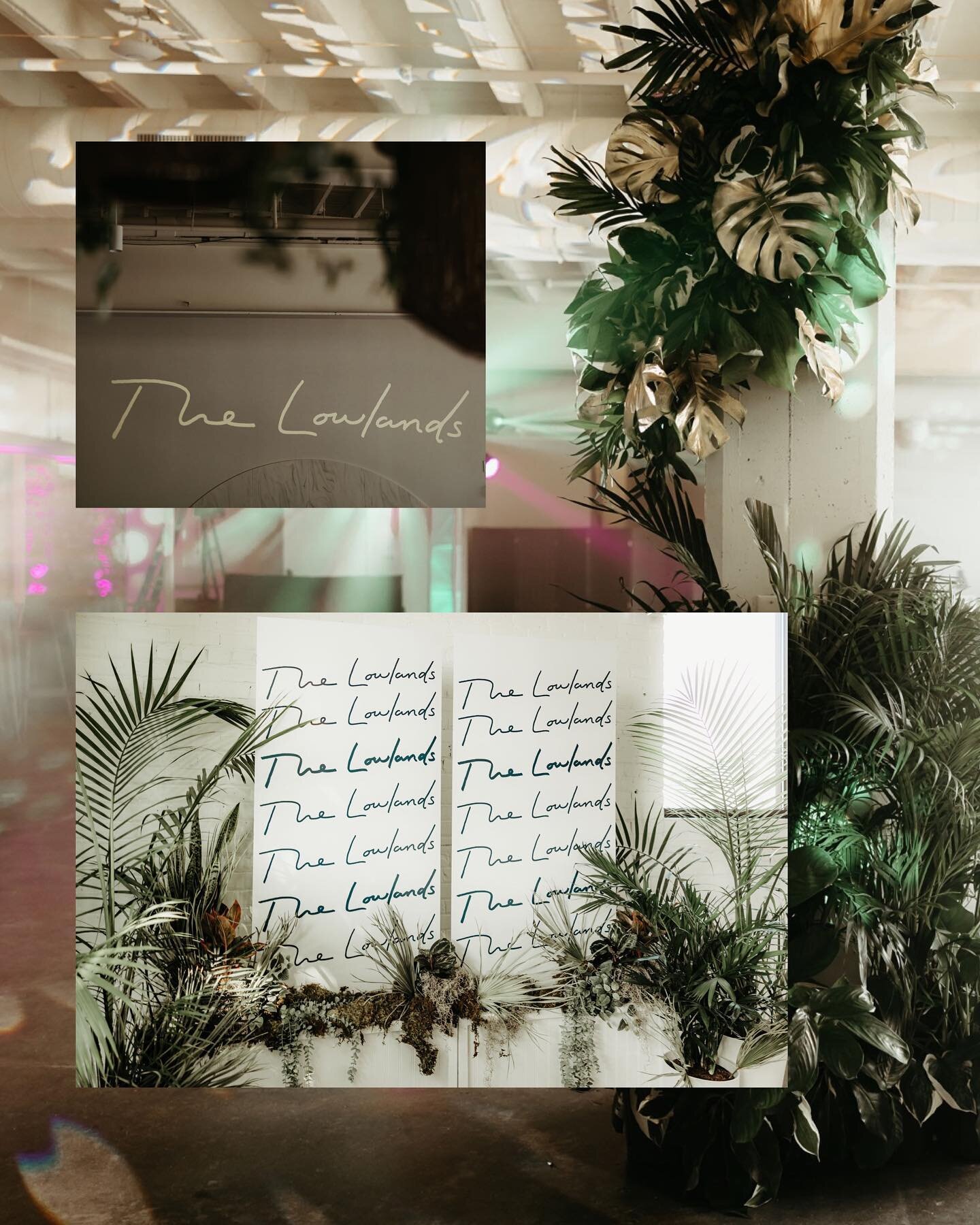 Jungle Chic Grand Opening at The Lowlands was a blast 🐆🐆🐆