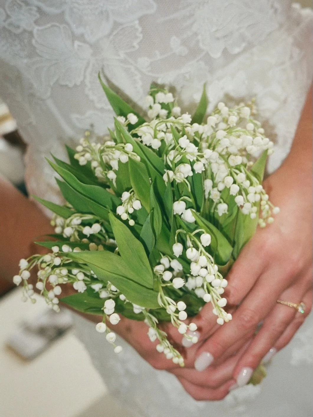 film moments from angie + josh’s dreamy day — still not over the ice sculpture ποΈ
.
.
.
Rentals: Apres, Studio Moss
Floral: Apricot Floral 
Photography: Sarah Ascanio
Videographer: Courtney Rey Films 
Planner: Pink Peony Weddings & E