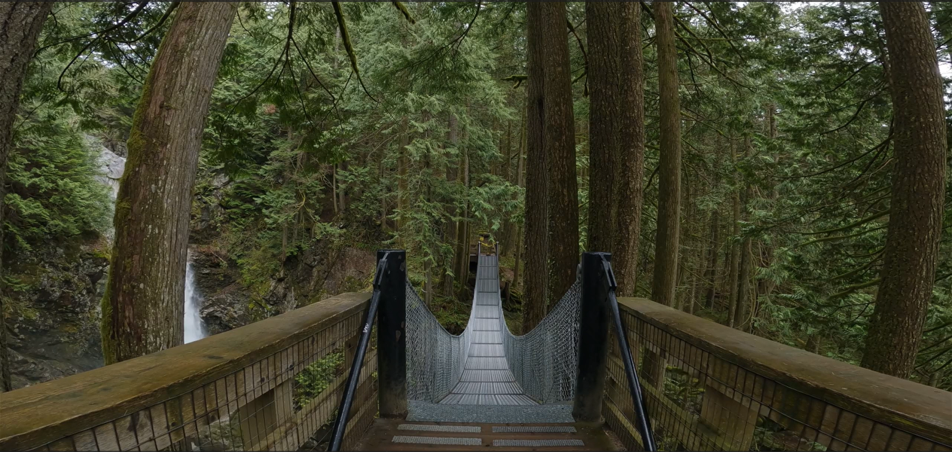 Walking Across the Bridge.png