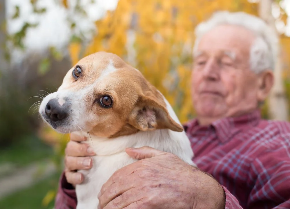 Pet Therapy & Senior Living: Boosting Wellness Through Animal Companionship