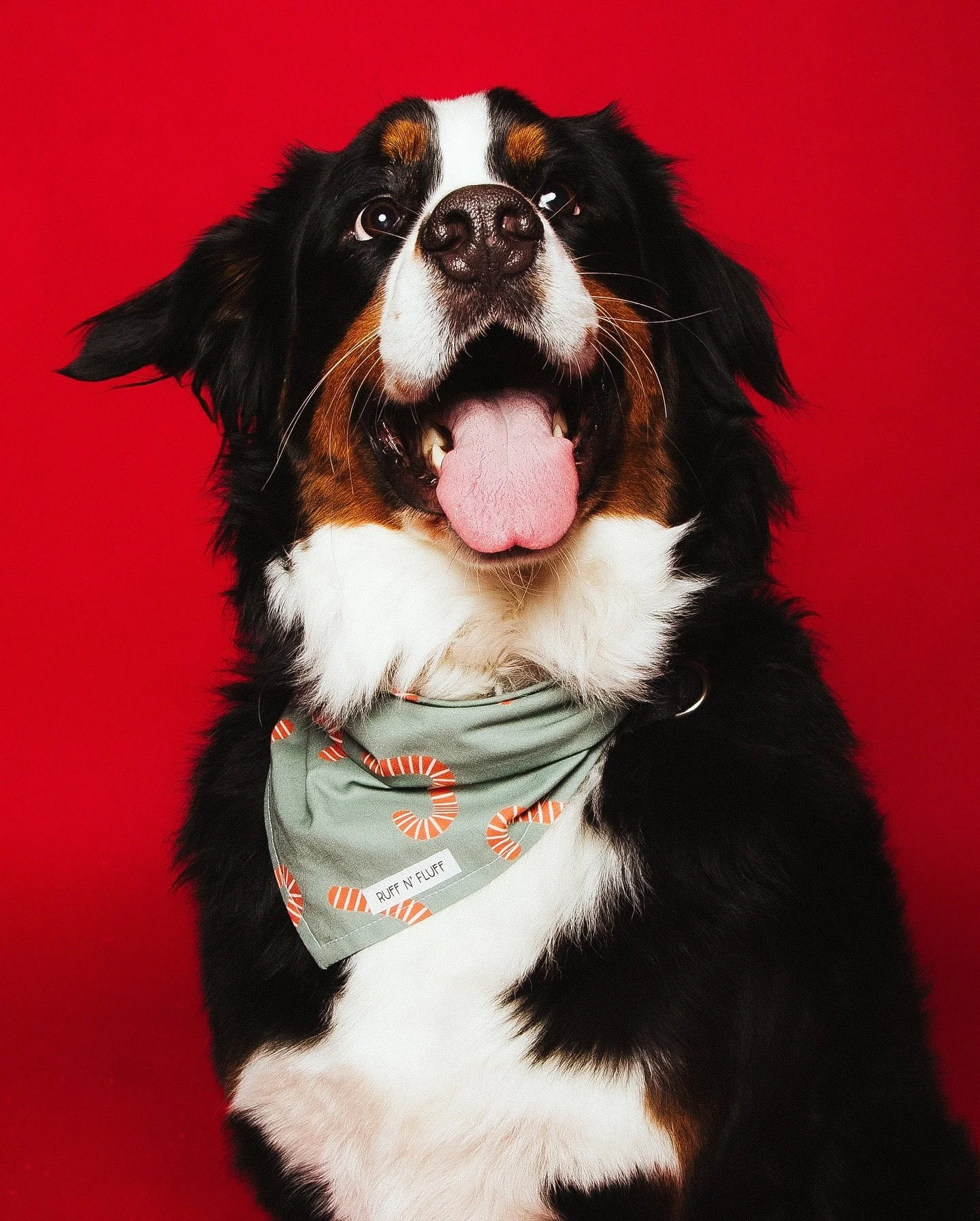 Some CUUUTE moments from Opening Day today!!! ✨

We couldn&rsquo;t not share this Holiday magic that&rsquo;s in the aiiiir!!

Who&rsquo;s coming in this weekend?! 

#christmasphotos #holidayphotos #santaphotos #holidaypictures