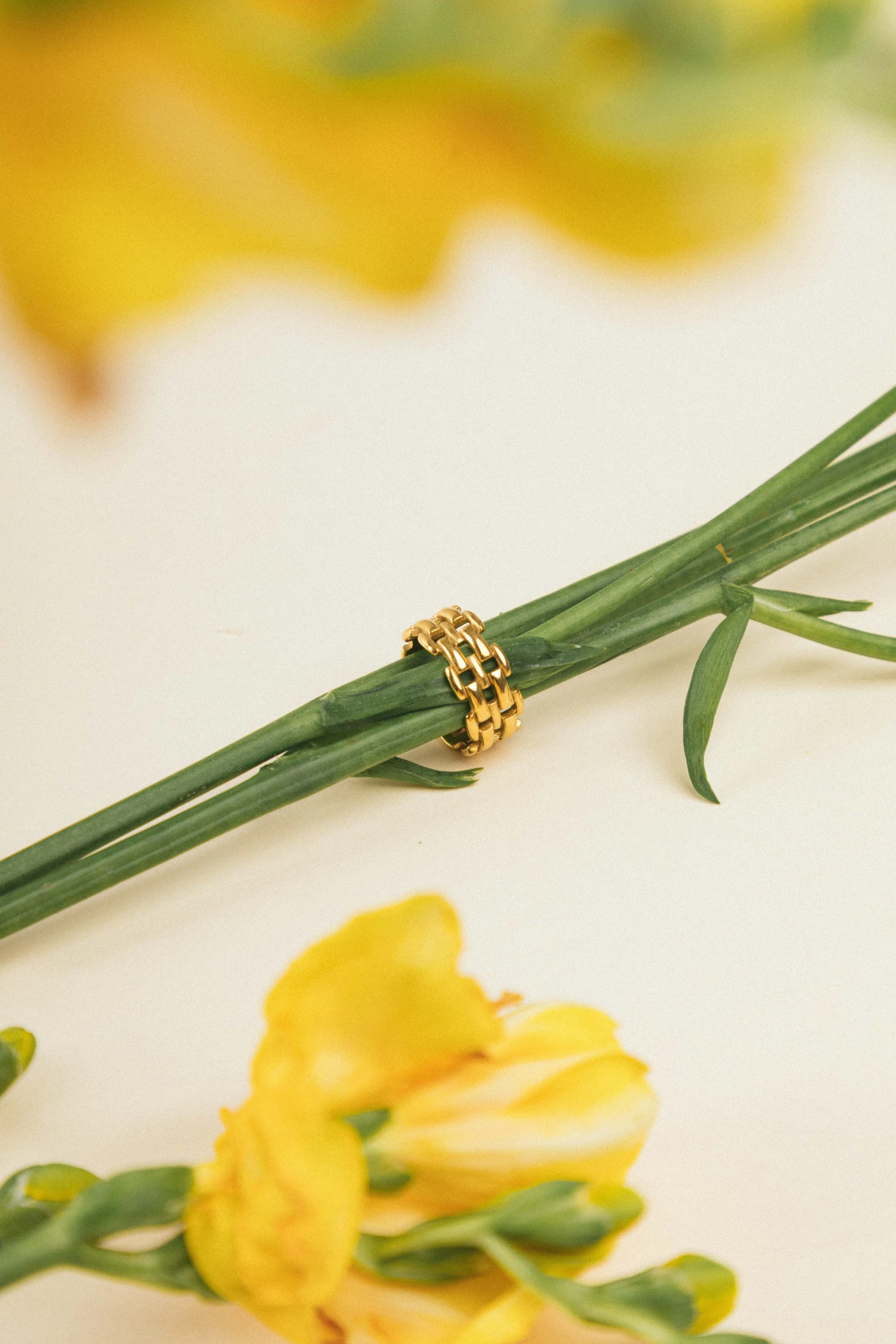 Panther chain-ring-5.jpg