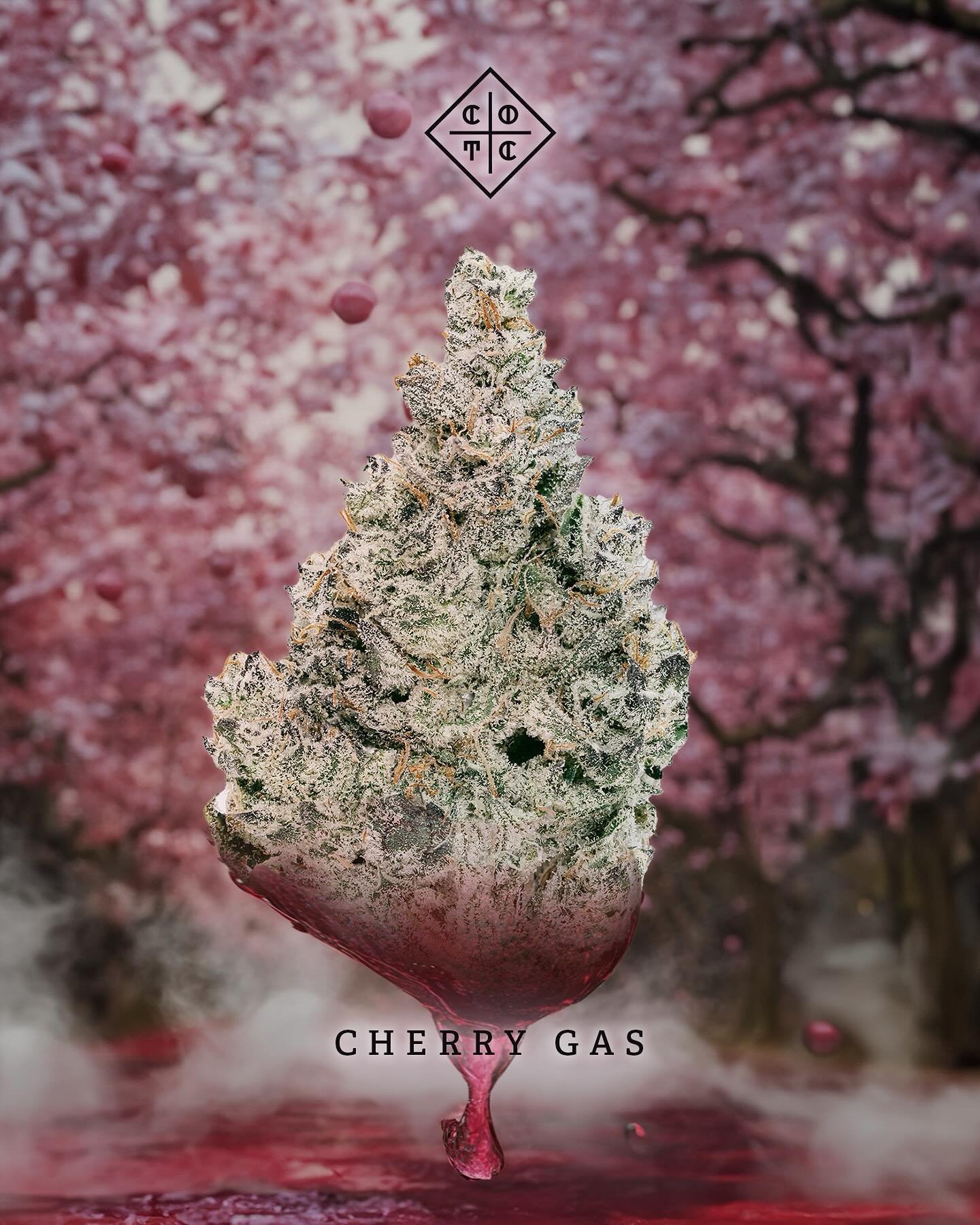 Cherry Gas (Cherry Pie X Jet Fuel Gelato). Sweet smooth, gas for the the cherry on the top of your sesh. 🍒😮&zwj;💨

🌳: Cherry Gas
📸: @brettmunozweddings 
🌁: midjourney
🎨: @iamdustinmilner 

#CreamoftheCrop #creativecannabis