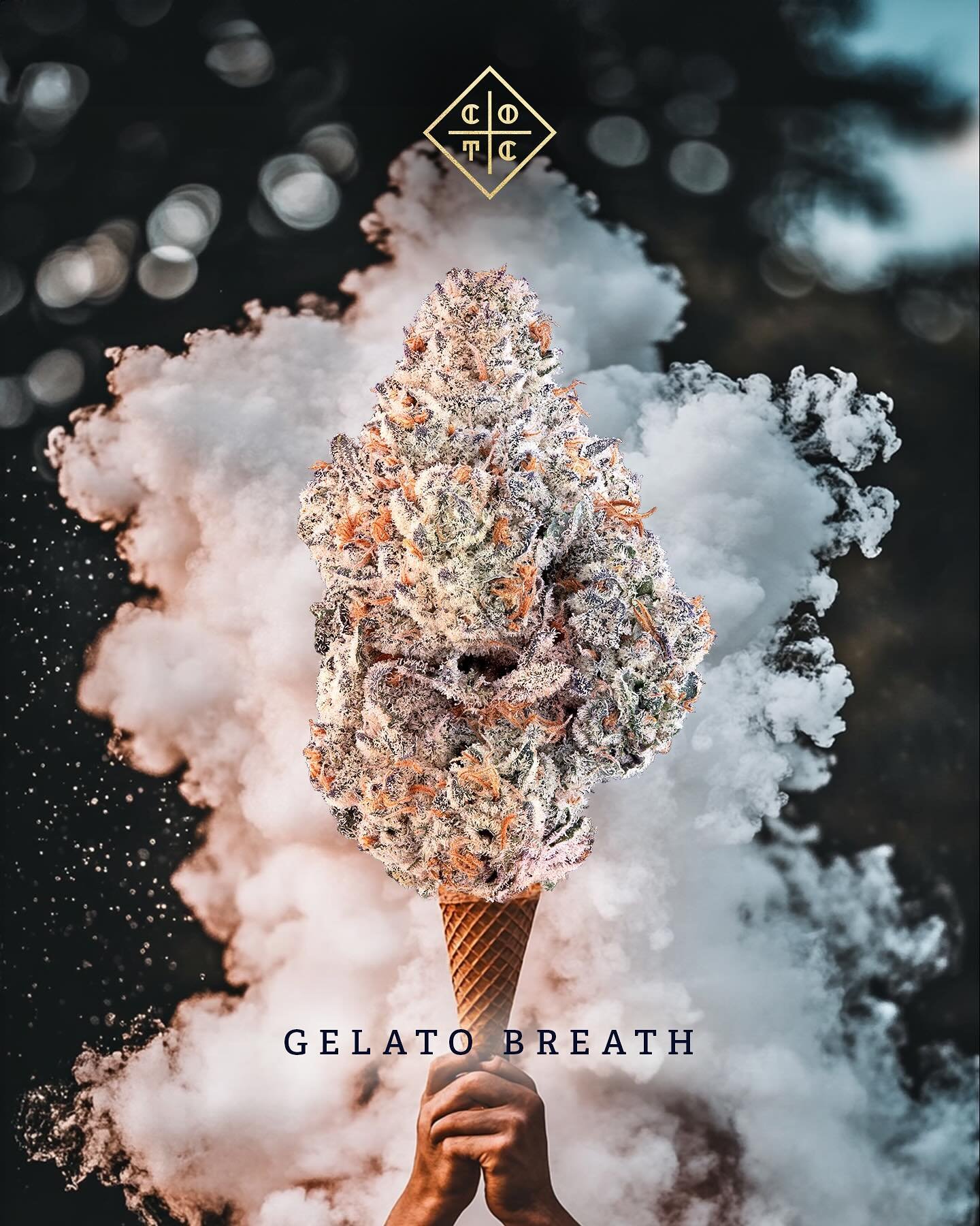 Exhaling all f*cks given.  Gelato Breath (Runtz X Dosidos) lighting up this Friday Jr.

🌳: Gelato Breath (cultivated by @cotc_gardens)
📸: @brettmunoz 
🌁: Midjourney
🎨: @iamdustinmilner 

#CreamoftheCrop #creativecannabis #exhalethebullshit