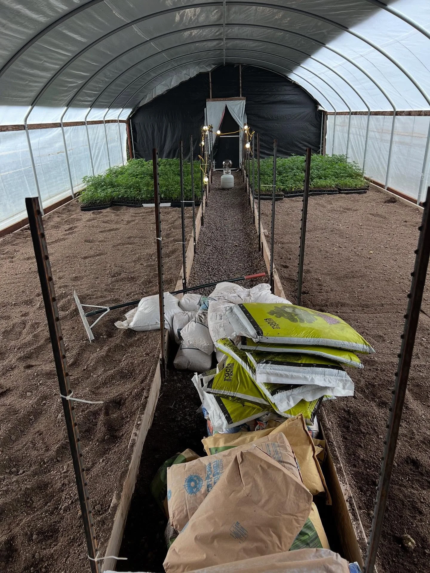 Let&rsquo;s keep talking about our live resin carts. It all begins at the farm! Nestled in the mountains of Mendocino County, our farm benefits from a perfect microclimate. A refreshing ocean breeze keeps the air crisp, while our cleared pad for the 