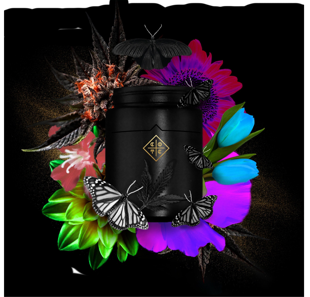 Cream Of The Crop Gardens Connoisseur Cannabis