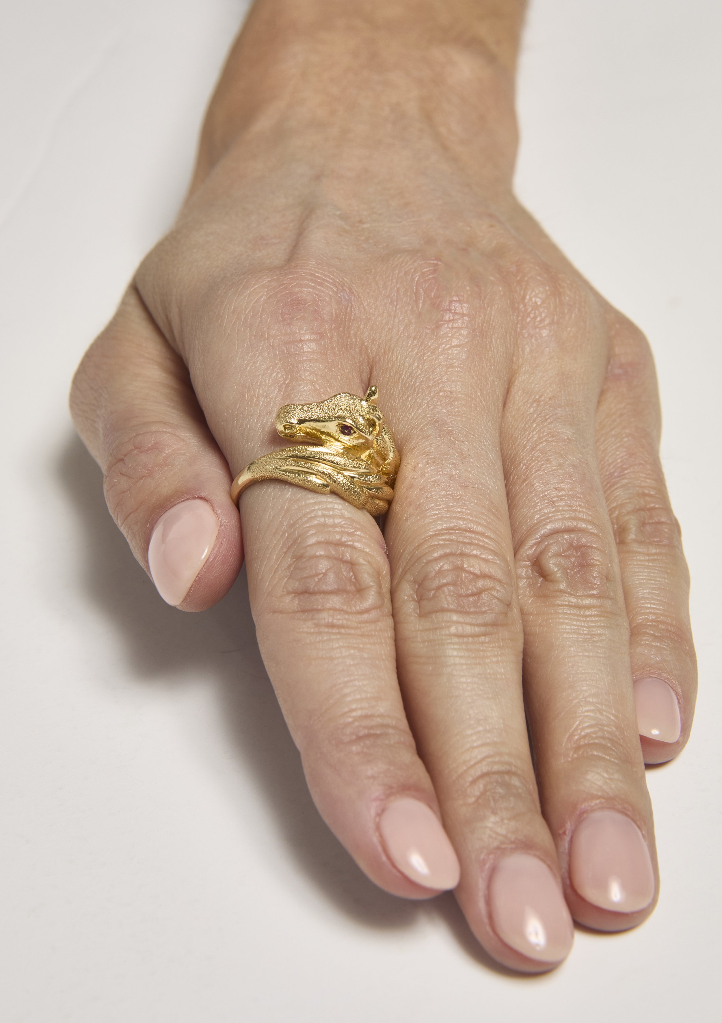 Horsehead ringTurnerandTatler101425_0370.jpg