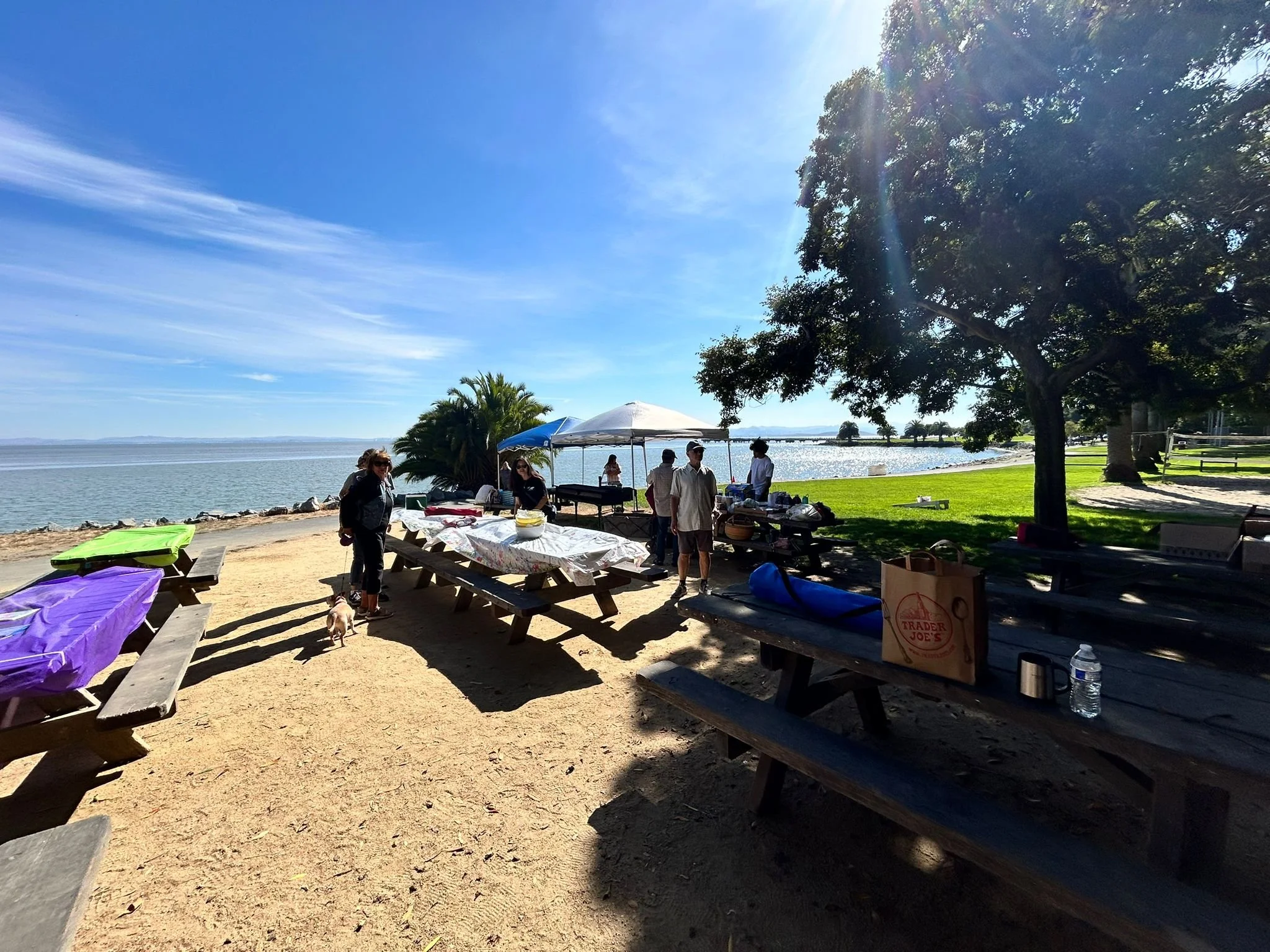 96b0247b-9382-48e2-a005-dfe34af3397f.jpeg