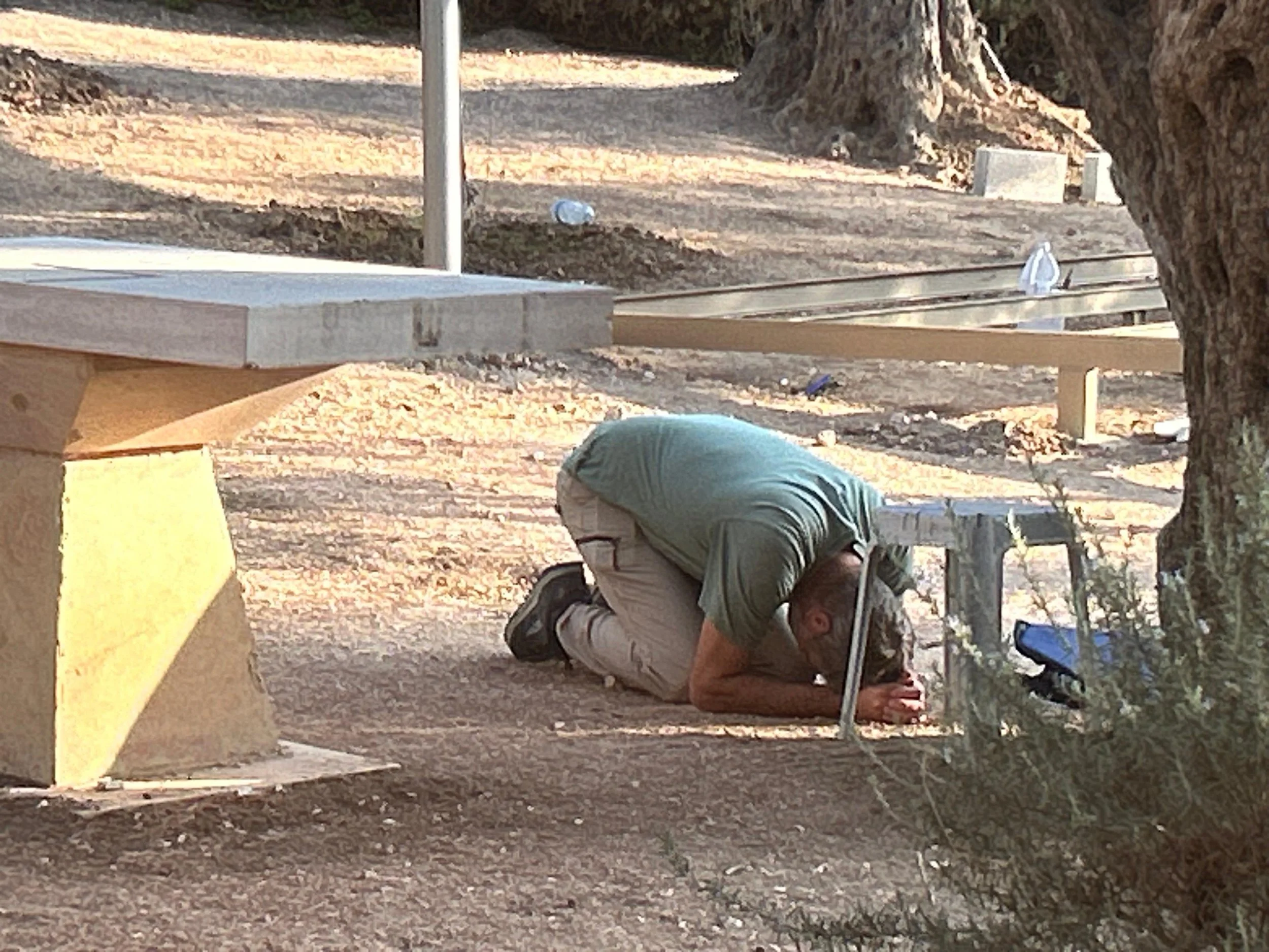 F9BD4177-71F8-4853-83AF-3454E852A0C5.jpg