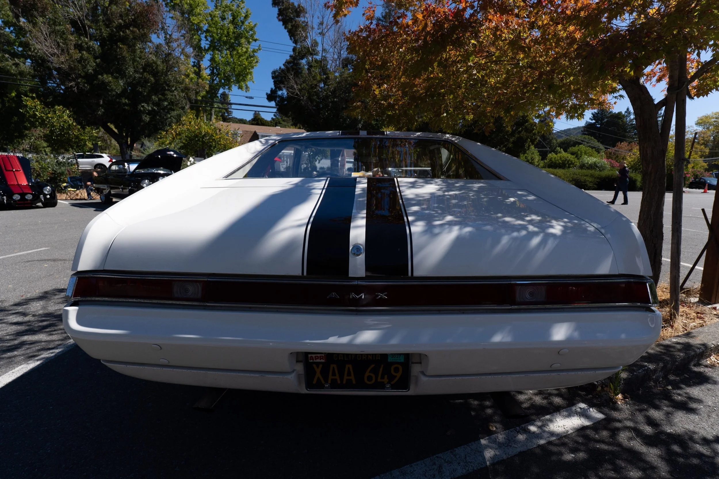 DSC00628.jpg