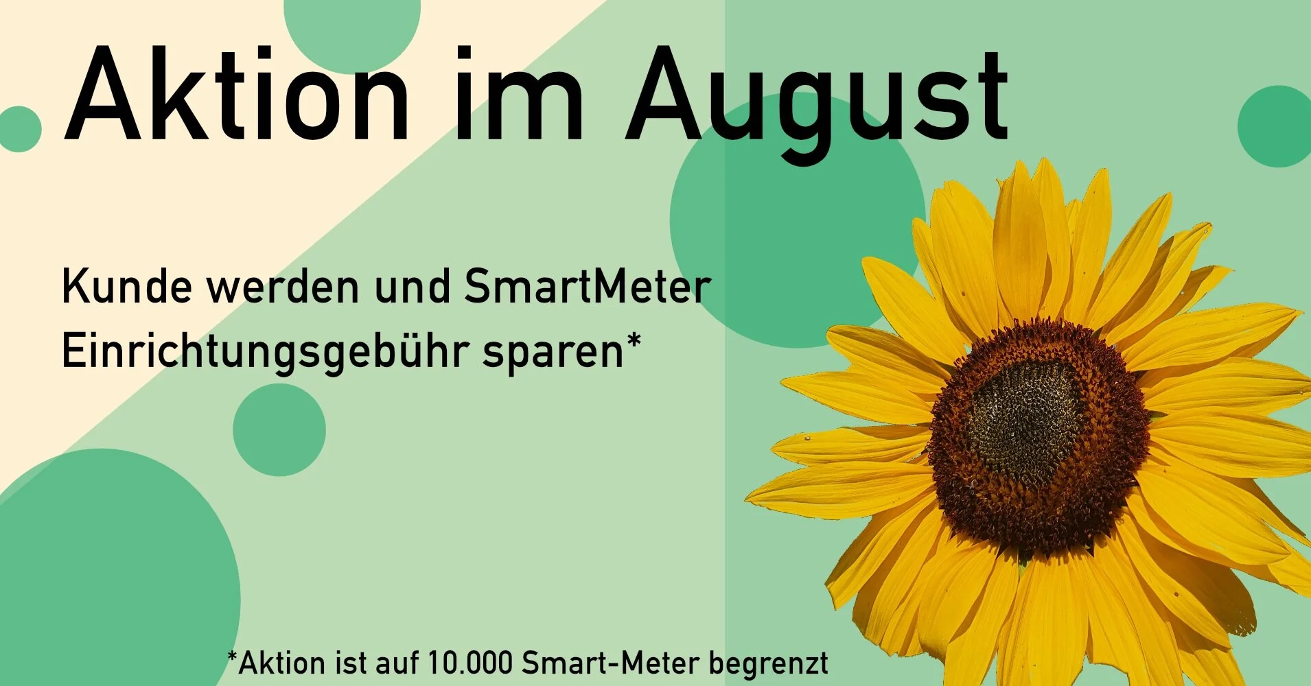 Jetzt noch schnell kostenlosen Smart Meter für aktiven Klimaschutz sichern