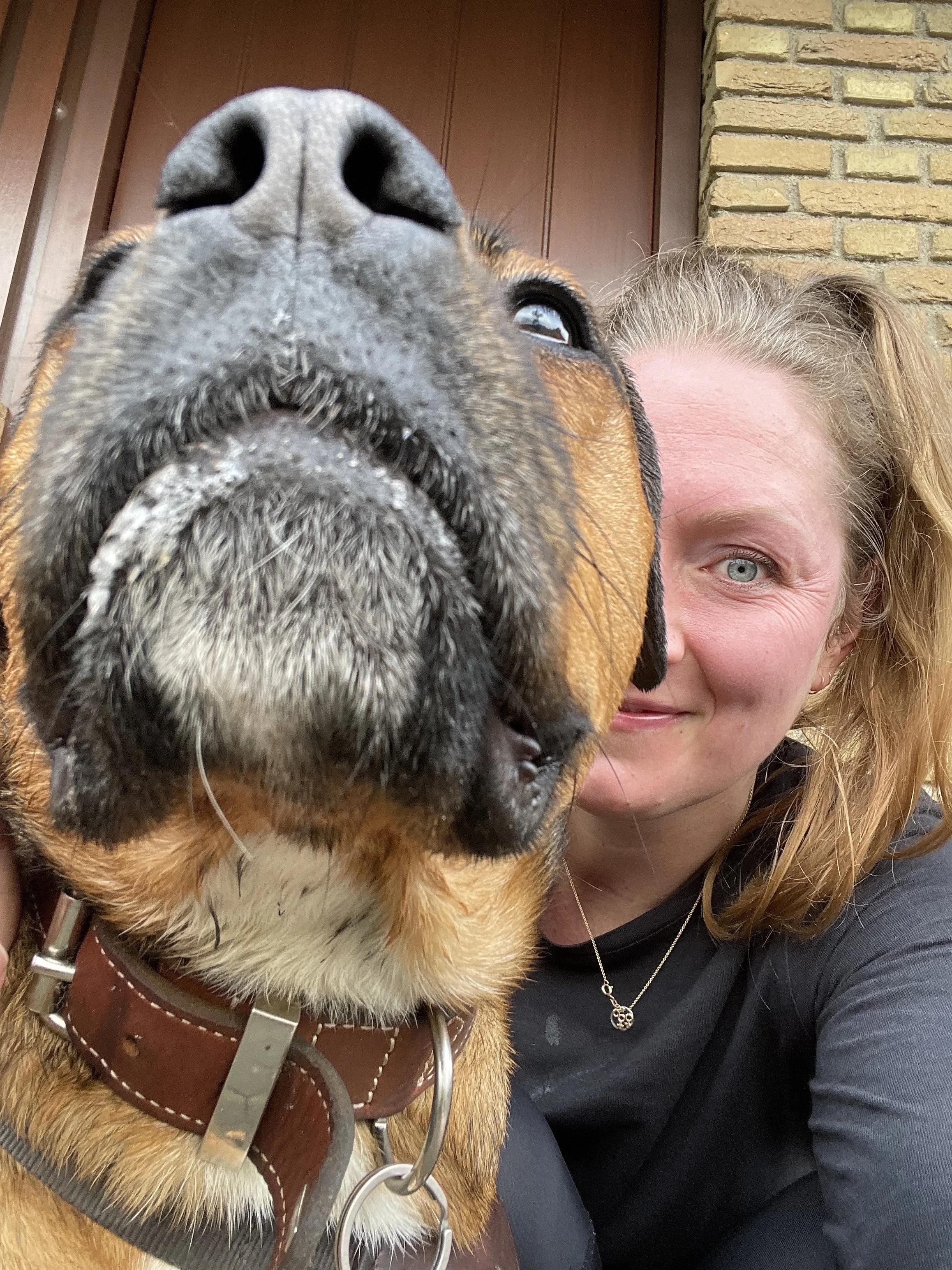 Geschichten aus der Elternzeit