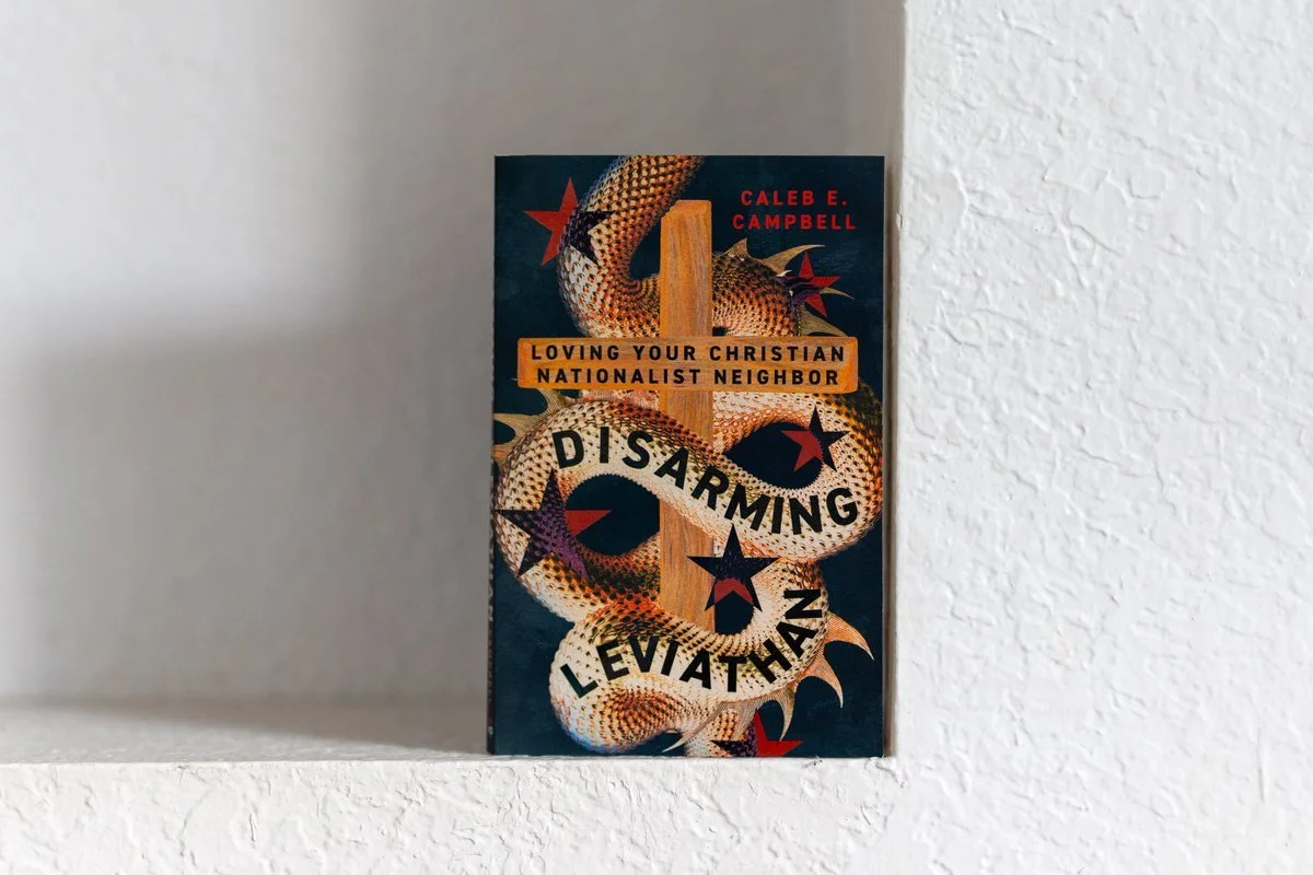 Disarming Leviathan Review