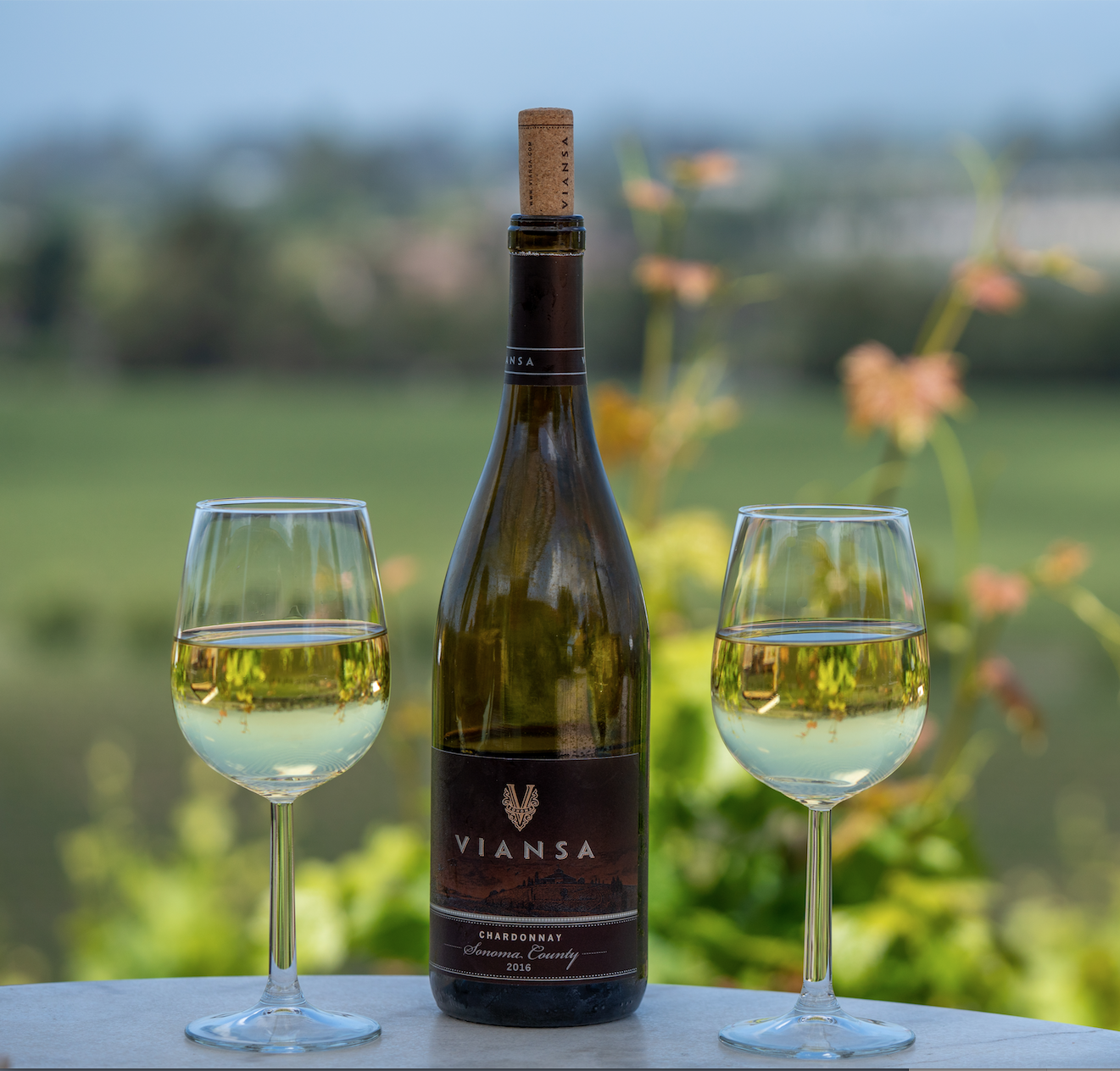 cta-photography-resort-lifestyle -Napa-Valley-CA